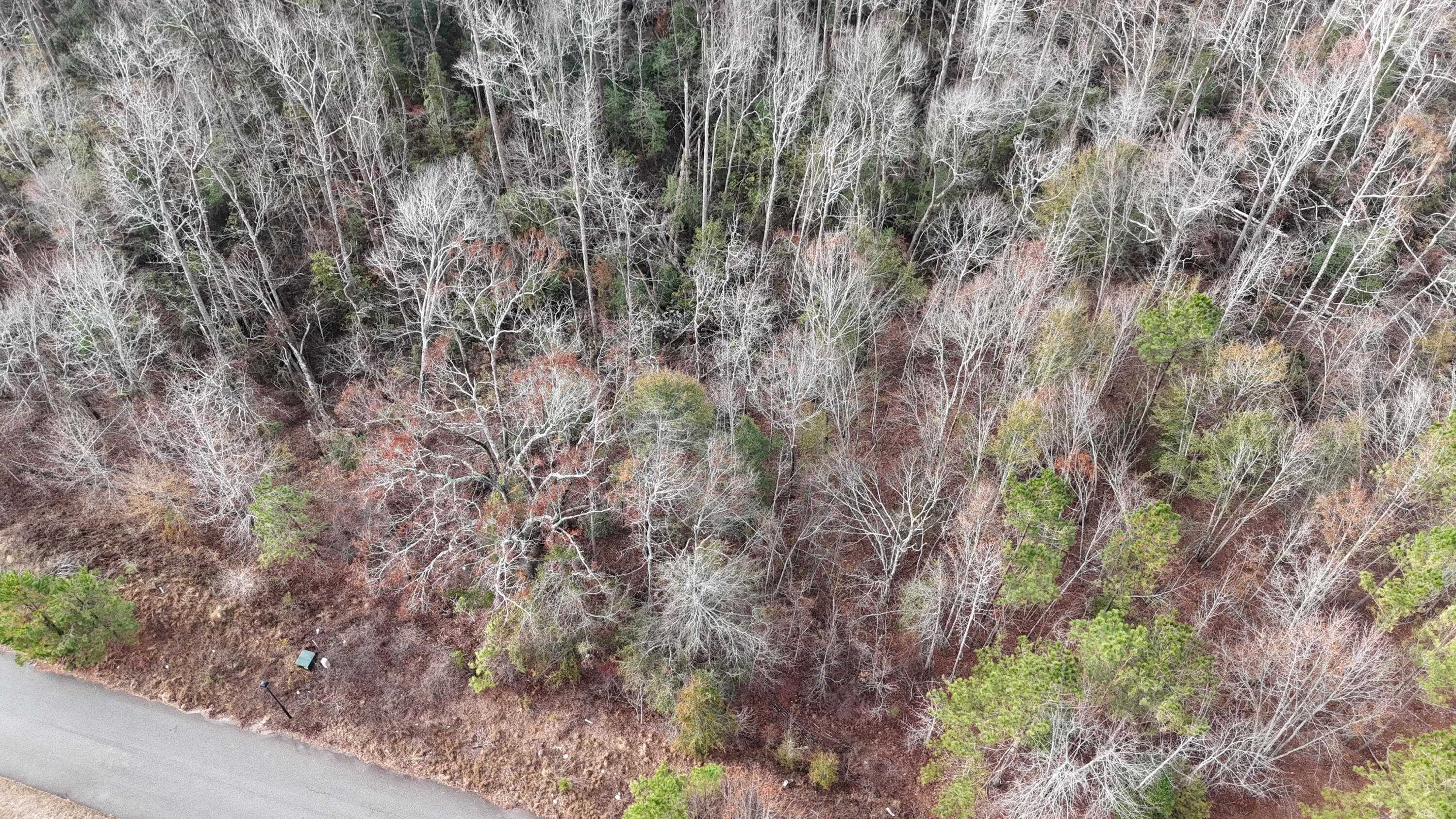 Residential Lot at 2664 New Hope Circle, Hephzibah, GA 30815, photo 8 of 8