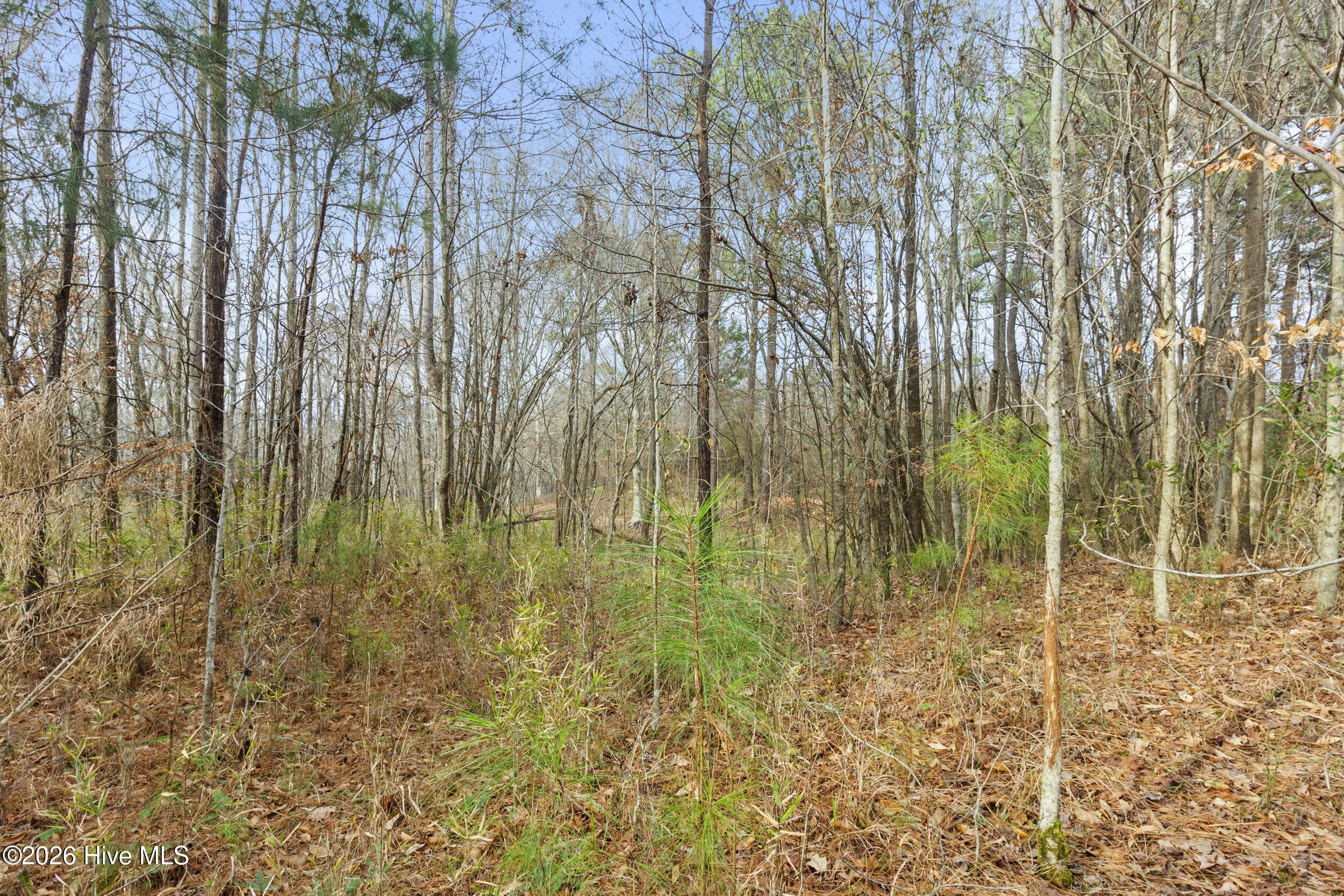 Undeveloped at 2711 Old Airport Road, New Bern, NC 28562, photo 14 of 23