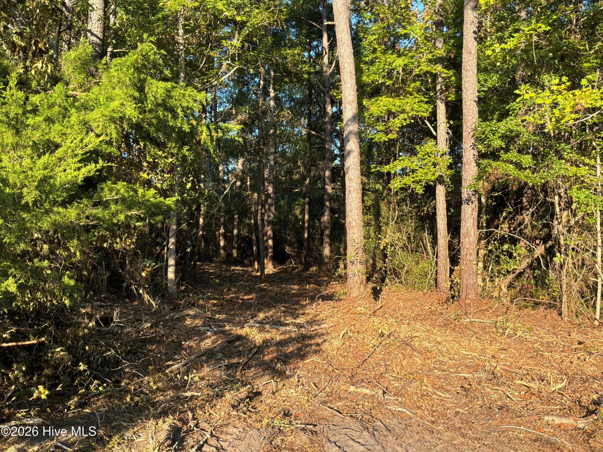 Beautiful lot just minutes to Ocean Isle Beach! - 1580 Breezeway Drive SW, Ocean Isle Beach, NC 28469