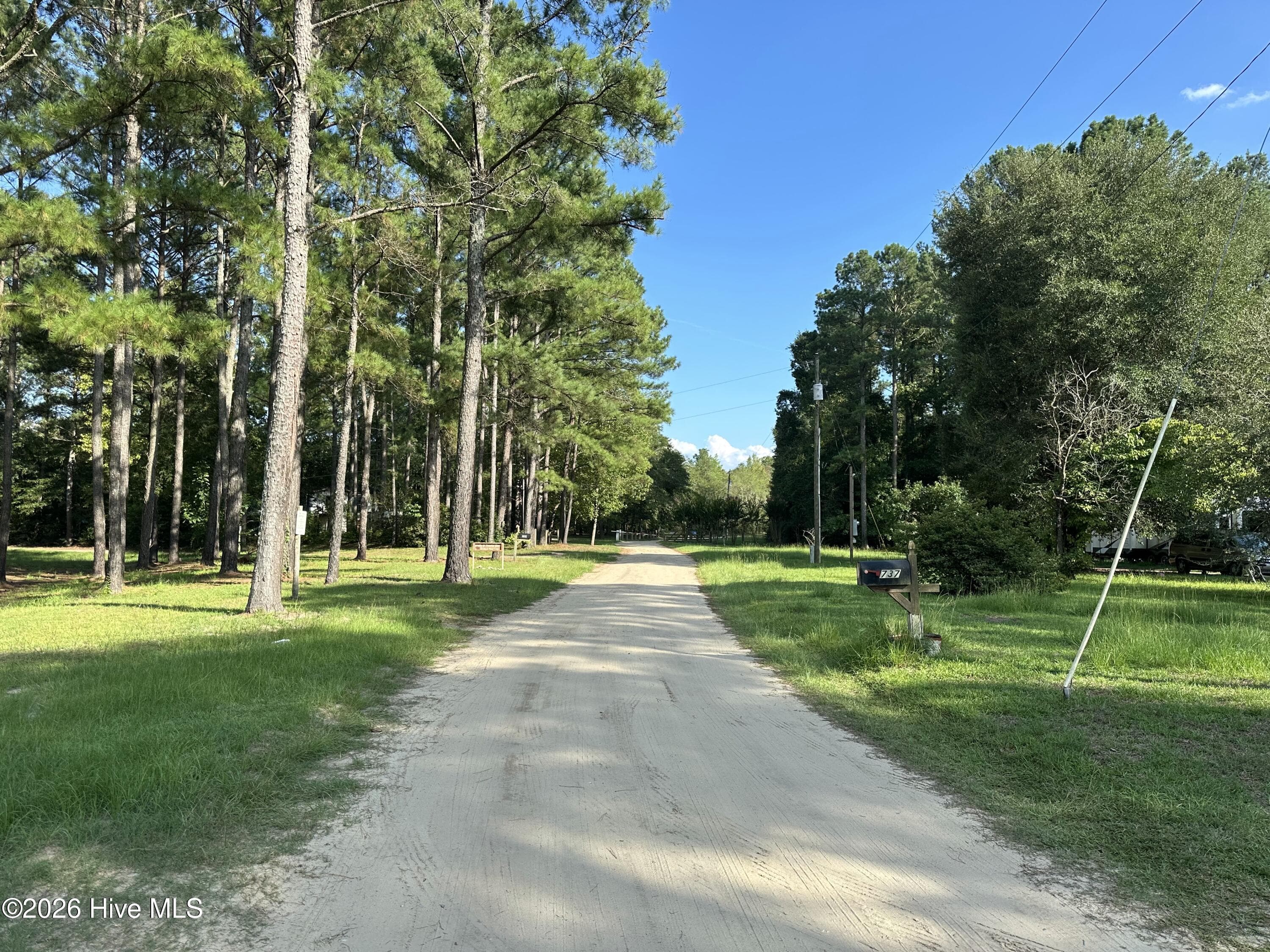 Residential Lot at 43 Black River Lane, Harrells, NC 28444, photo 4 of 15