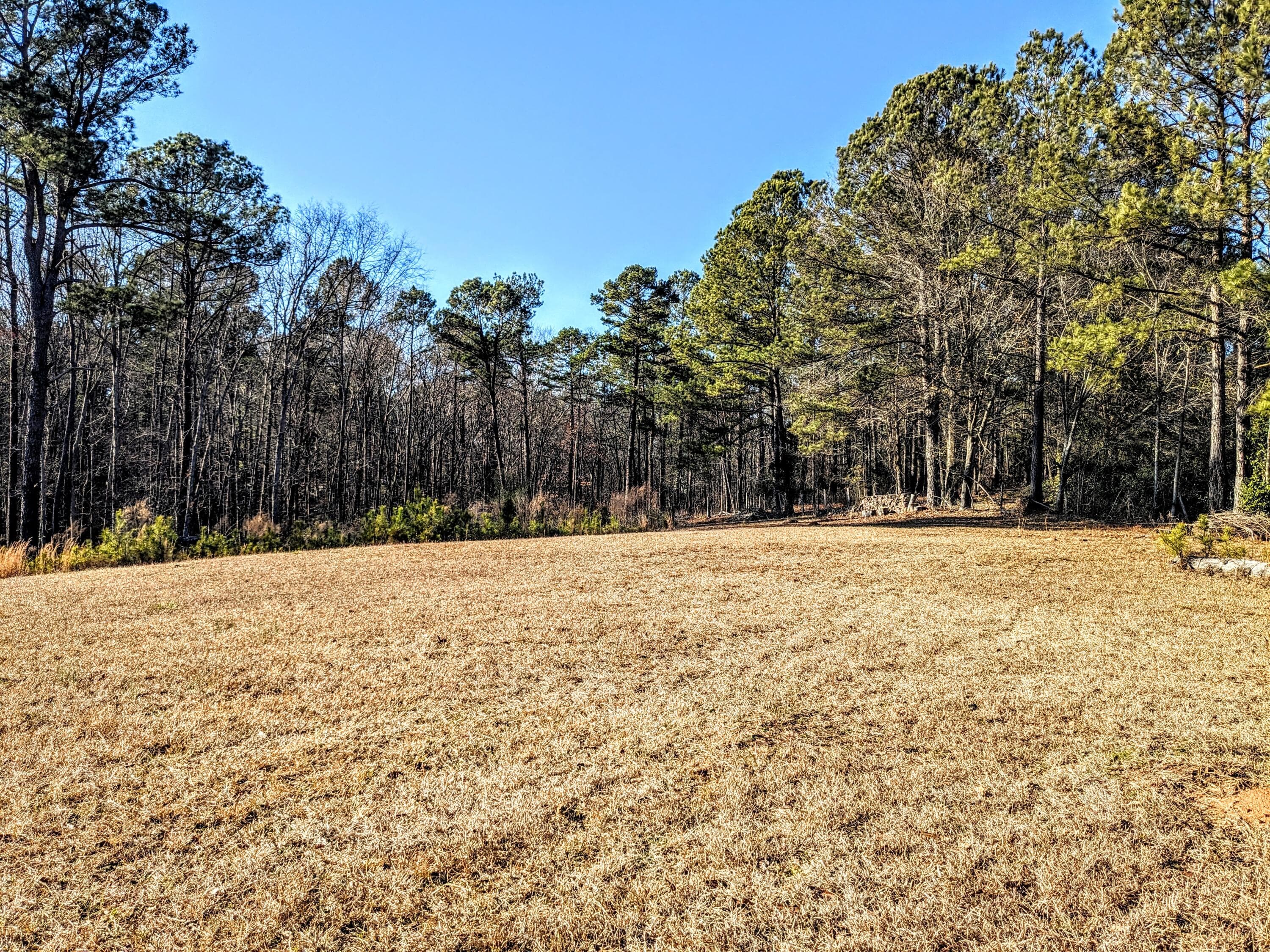 Undeveloped at 484 Dickson Drive, Evans, GA 30809, photo 3 of 4
