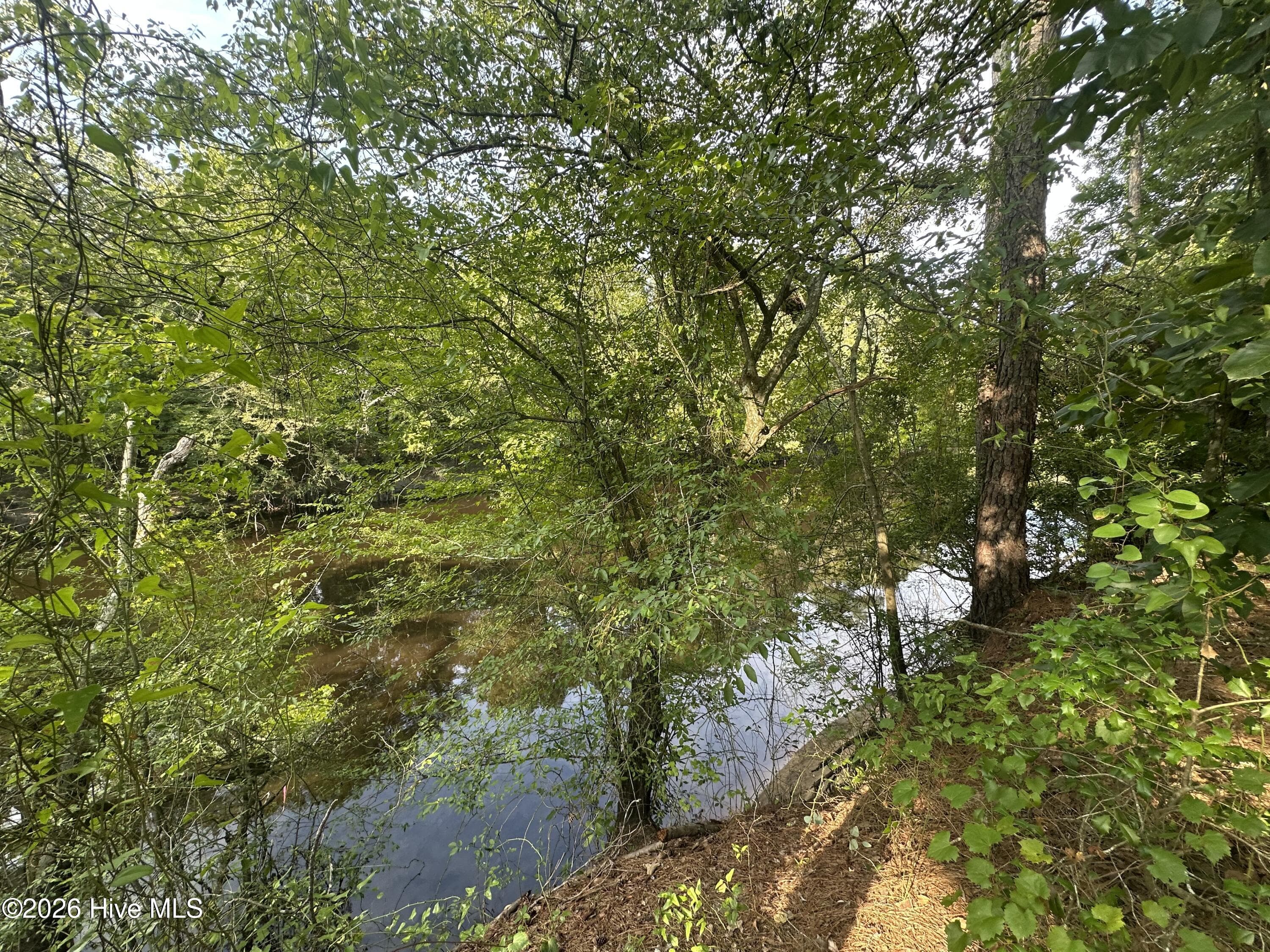 Residential Lot at 43 Black River Lane, Harrells, NC 28444, photo 12 of 15