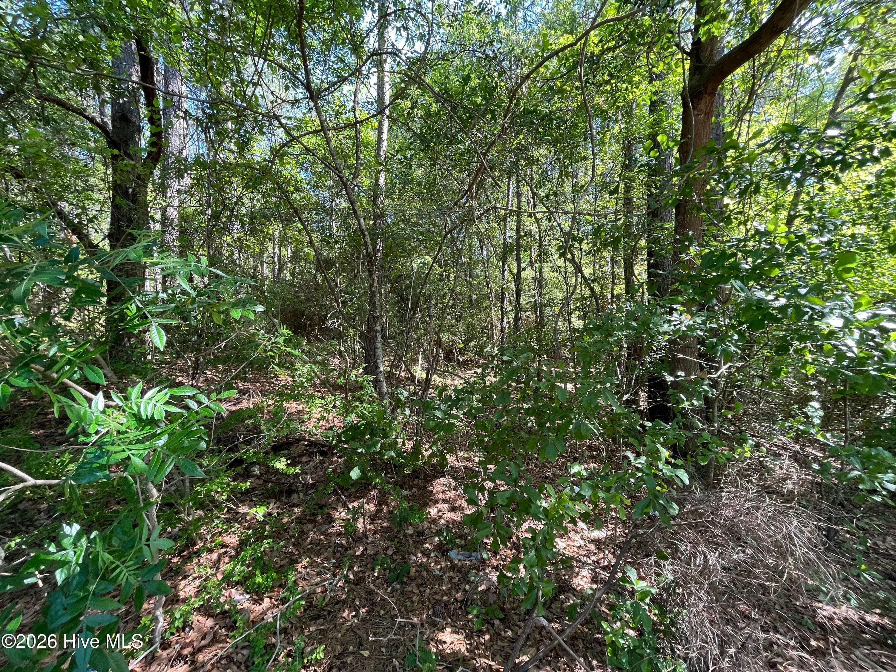 Residential Lot at 304 Eastman Road, Southern Pines, NC 28387, photo 2 of 5