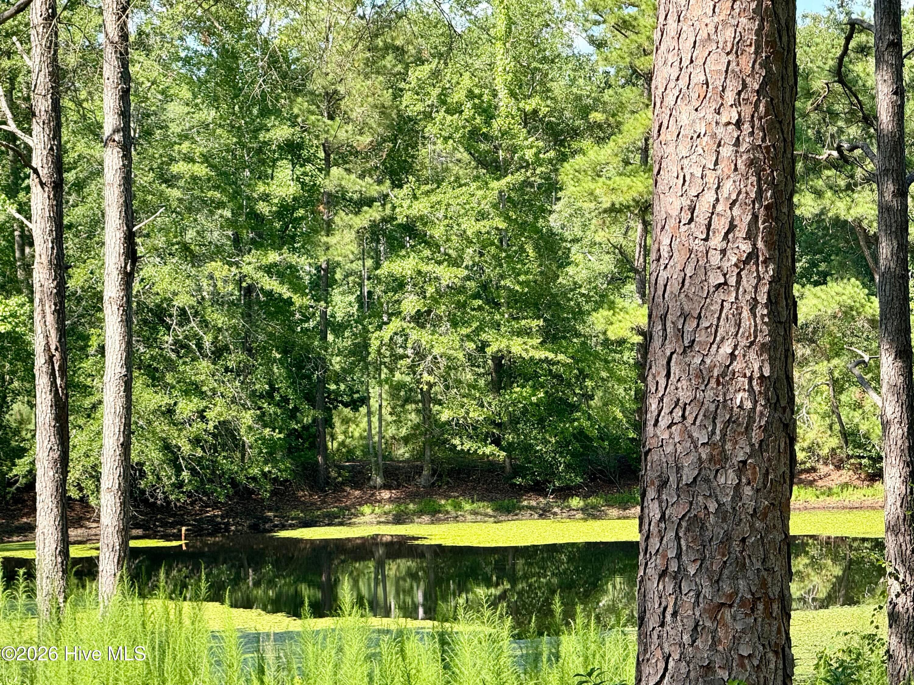 Undeveloped at Tbd Roberdel School Road, Rockingham, NC 28379, photo 10 of 41