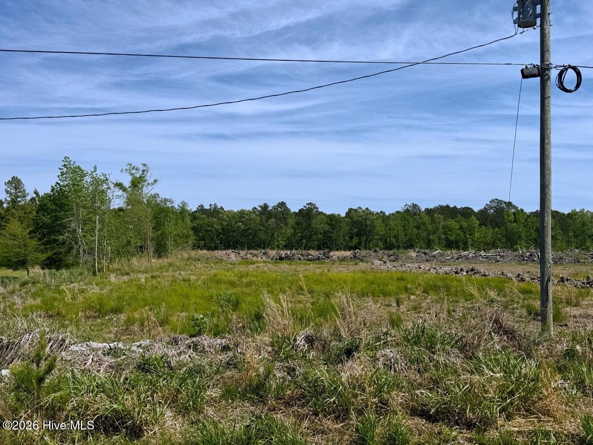 Undeveloped at 1 1 U.S. 264, Scranton, NC 27875, photo 5 of 5