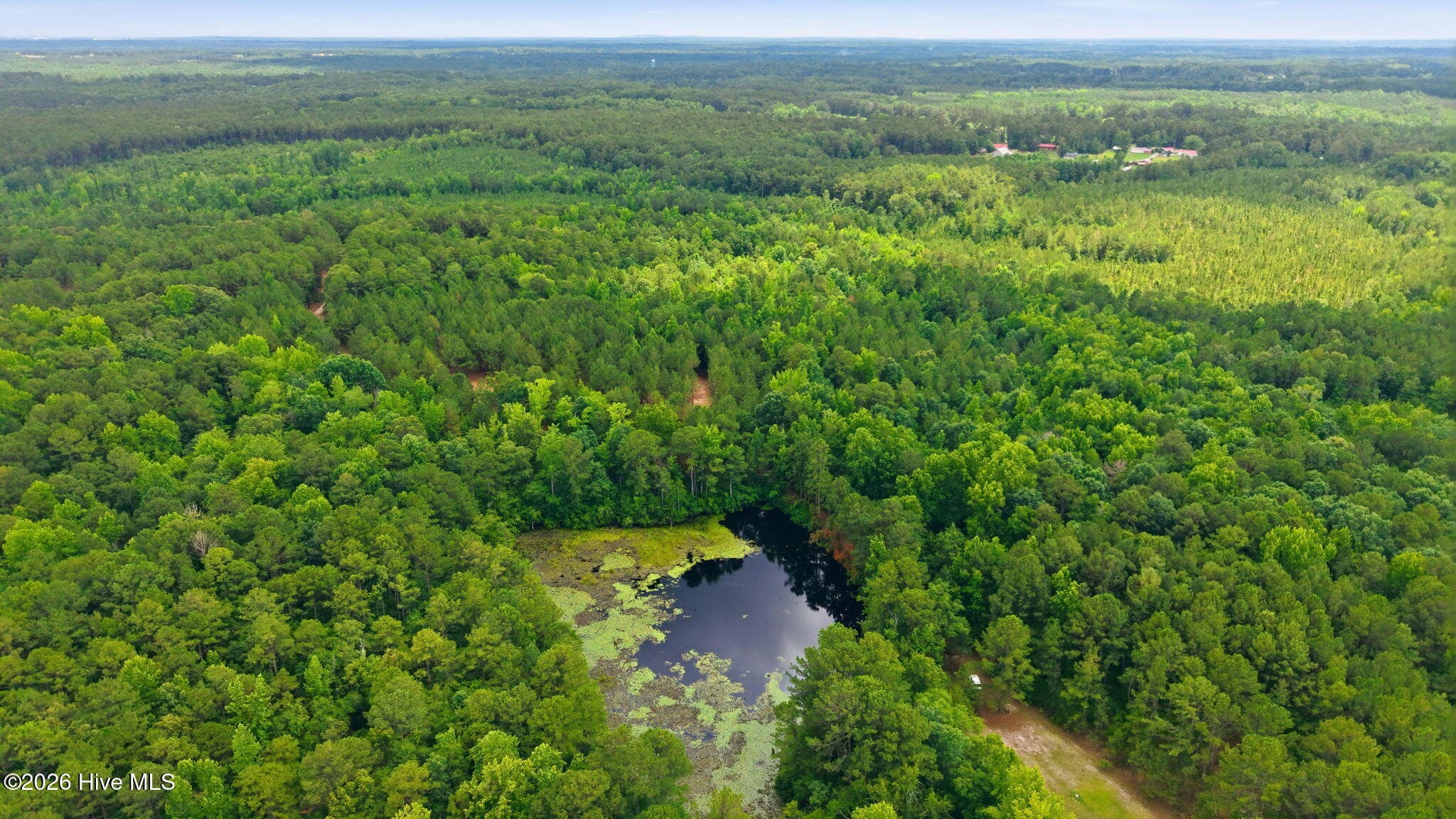 Wooded at 329 Cypress Farm Road, Cameron, NC 28326, photo 8 of 13