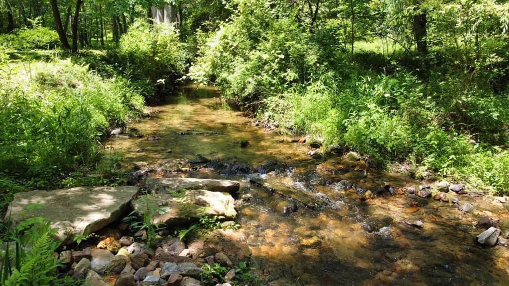 Land at Tract 1 Timber Ridge Road, Blairsville, GA 30512, photo 17 of 19