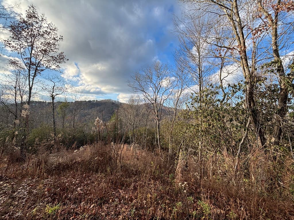 2.02 Ac 52 Viewforth Place, Topton, NC 28781
