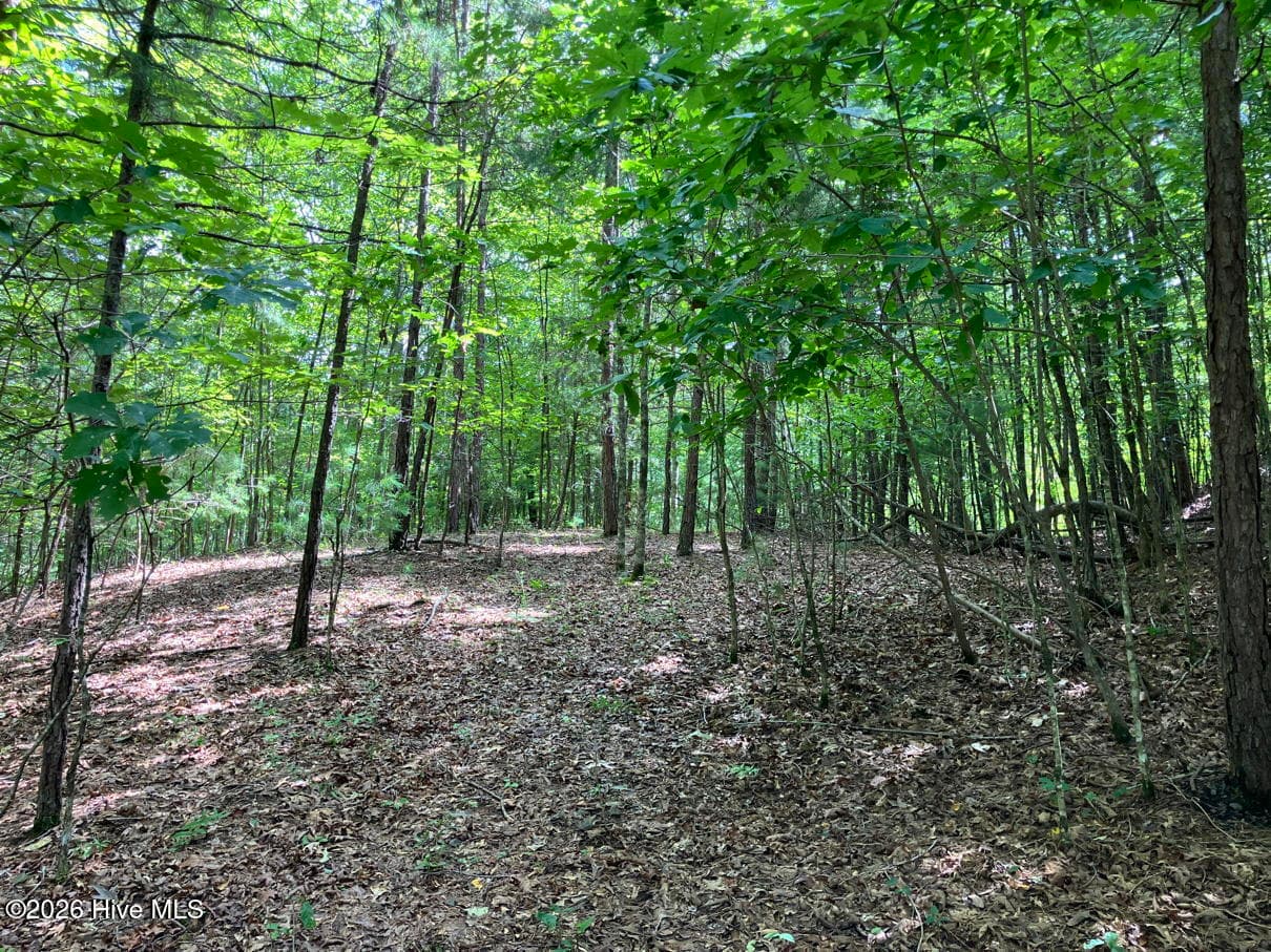 Undeveloped at 11 11 Green Cove Circle, Murphy, NC 28906, photo 4 of 8
