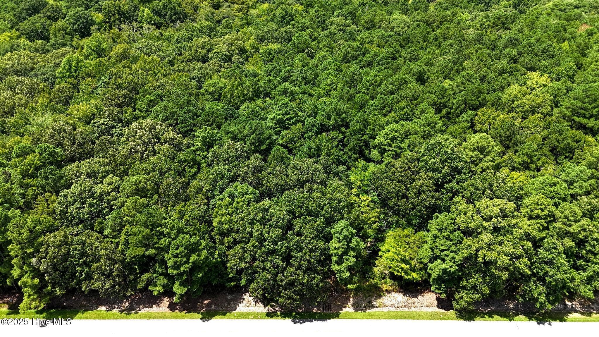 Tbd 4 Boat Ramp Road, New Hope, NC 27944