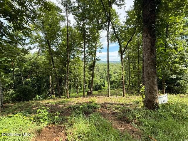 Mountain View Lot - Lot 25 25 Bryson Creek Drive, Murphy, NC 28906