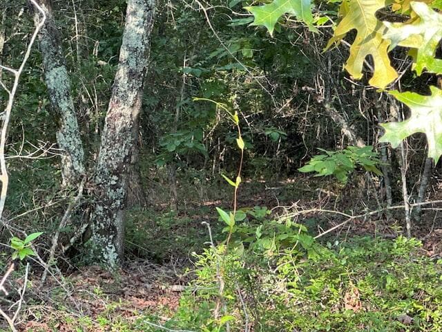 Undeveloped at 2576 Jessie James Pond Road, Wrens, GA 30833, photo 56 of 56