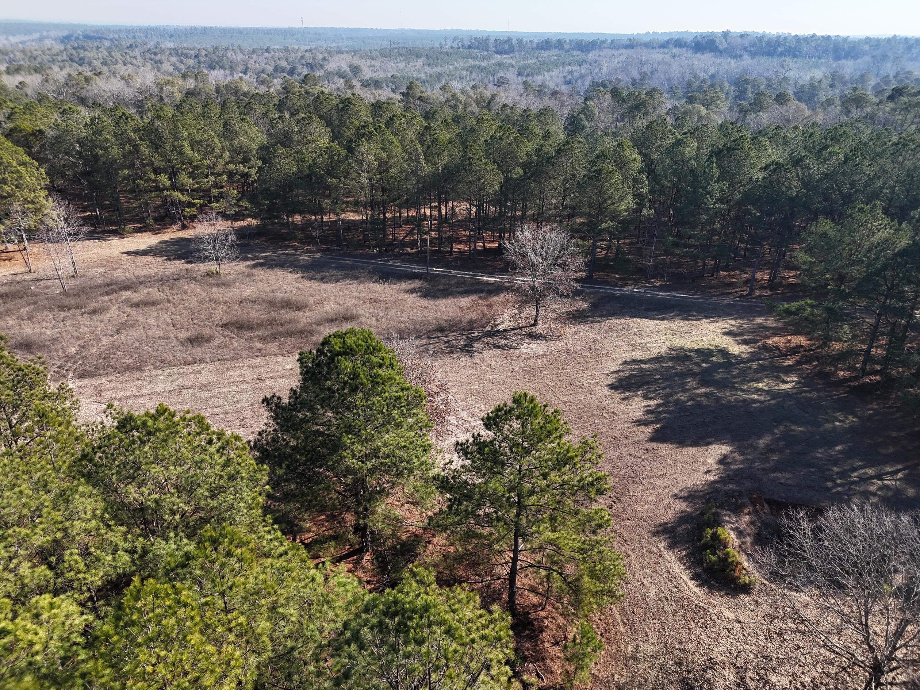 Undeveloped at 0 Ponderosa Road, Waynesboro, GA 30830, photo 18 of 45