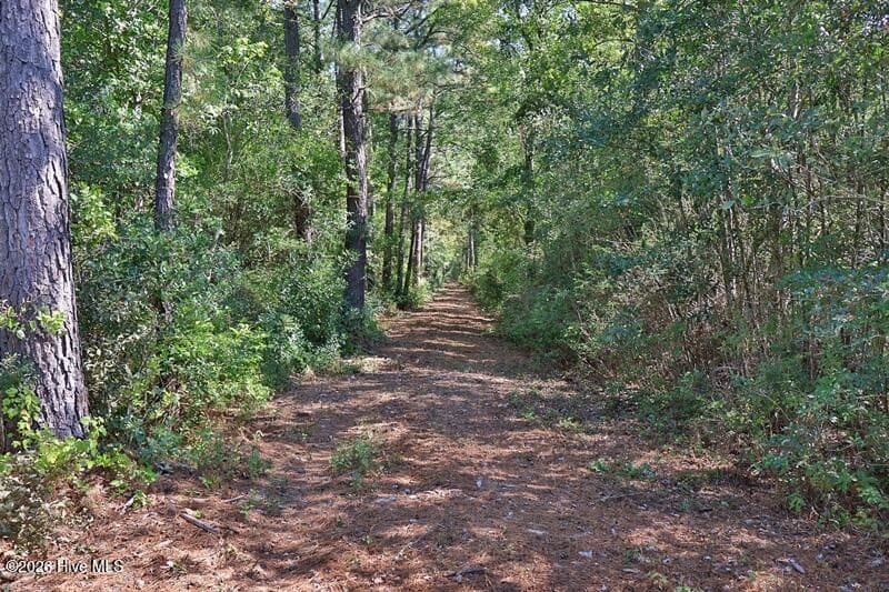 Recreation at 0 Angola Bay Road, Wallace, NC 28466, photo 3 of 16