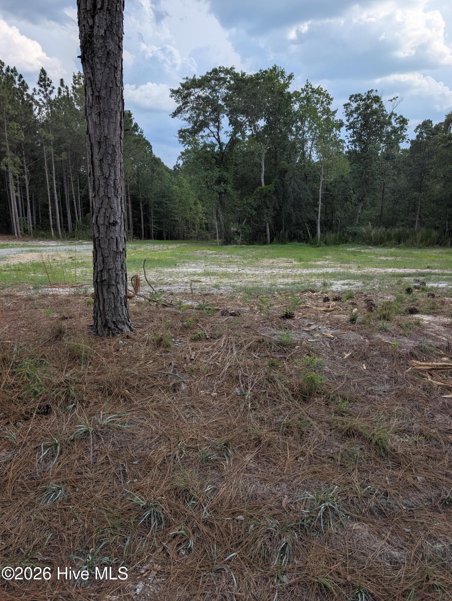 270 1-R Charles Road, Eagle Springs, NC 27242