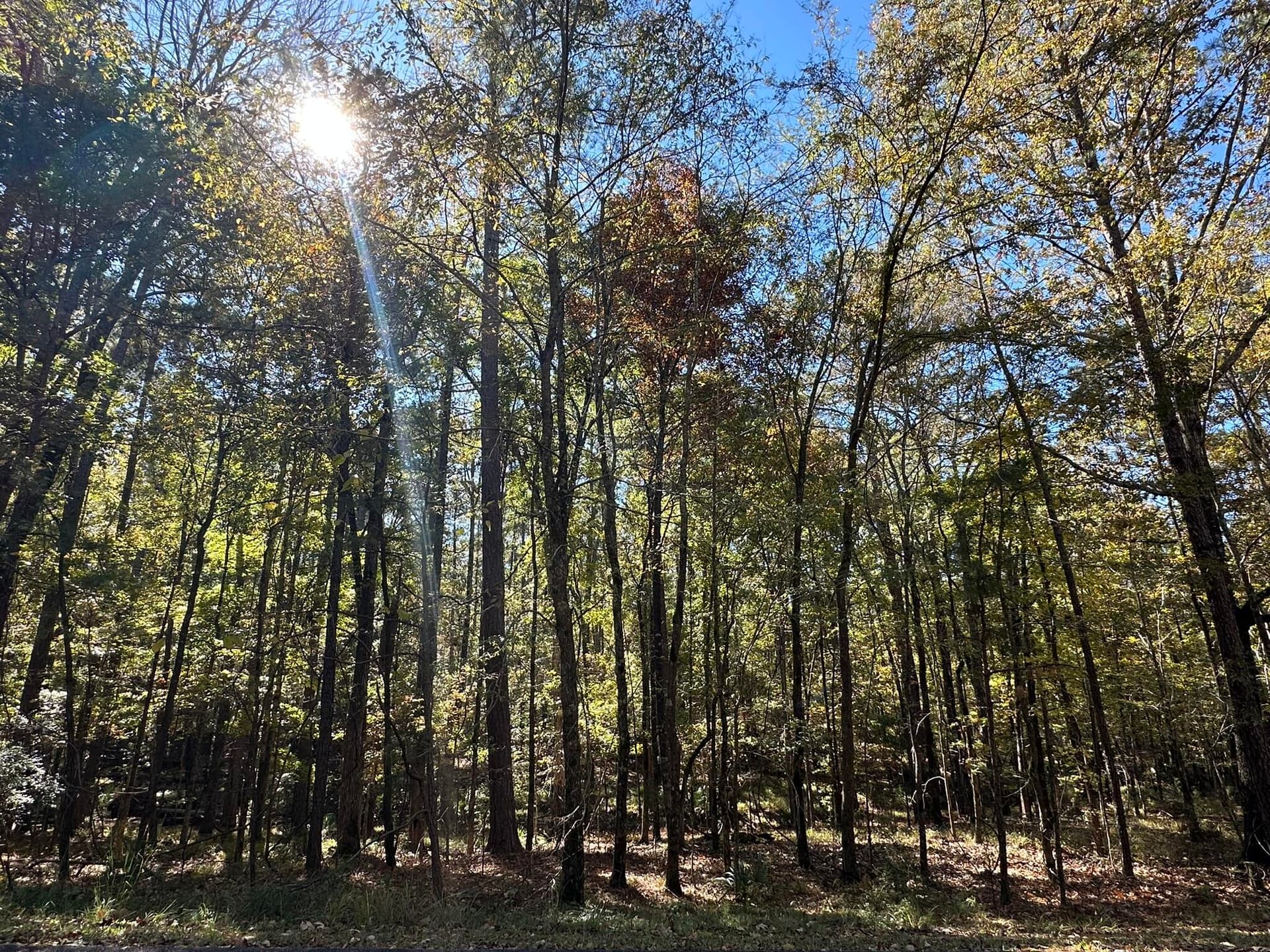 167 7 Southwind Drive, McCormick, SC 29835