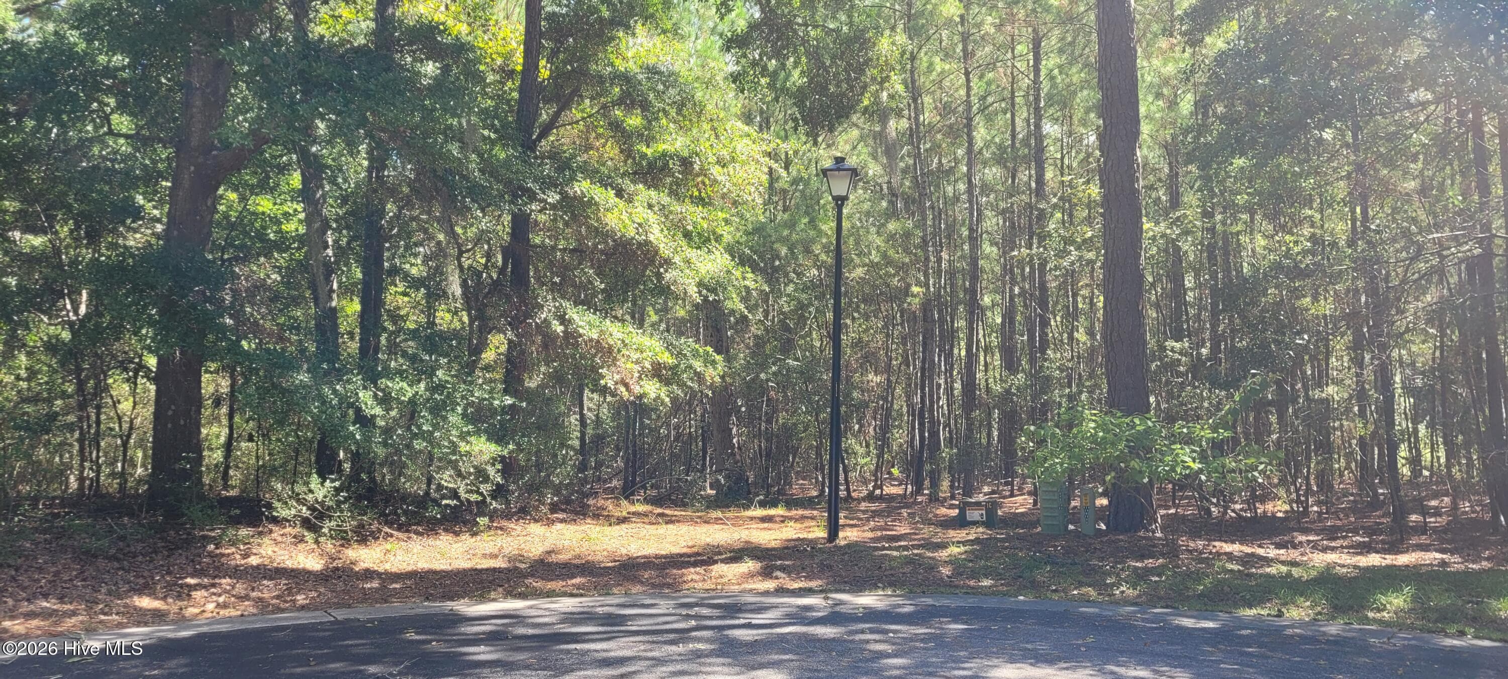 Residential Lot at 3570 15 & 16 Red Berry Court SW, Supply, NC 28462