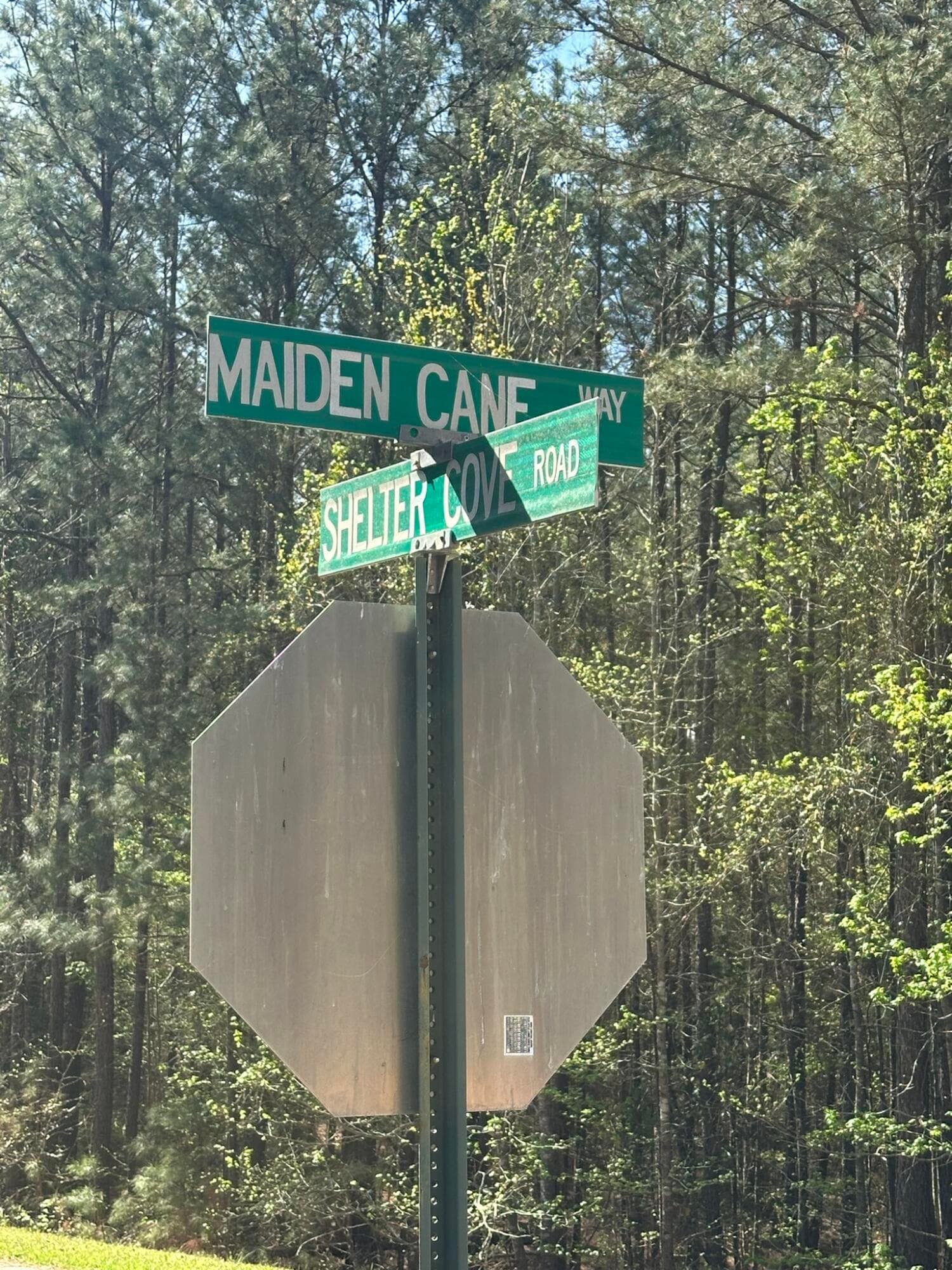 Residential Lot at Lot 65 65 Maiden Cane Way, Lincolnton, GA 30817, photo 13 of 59