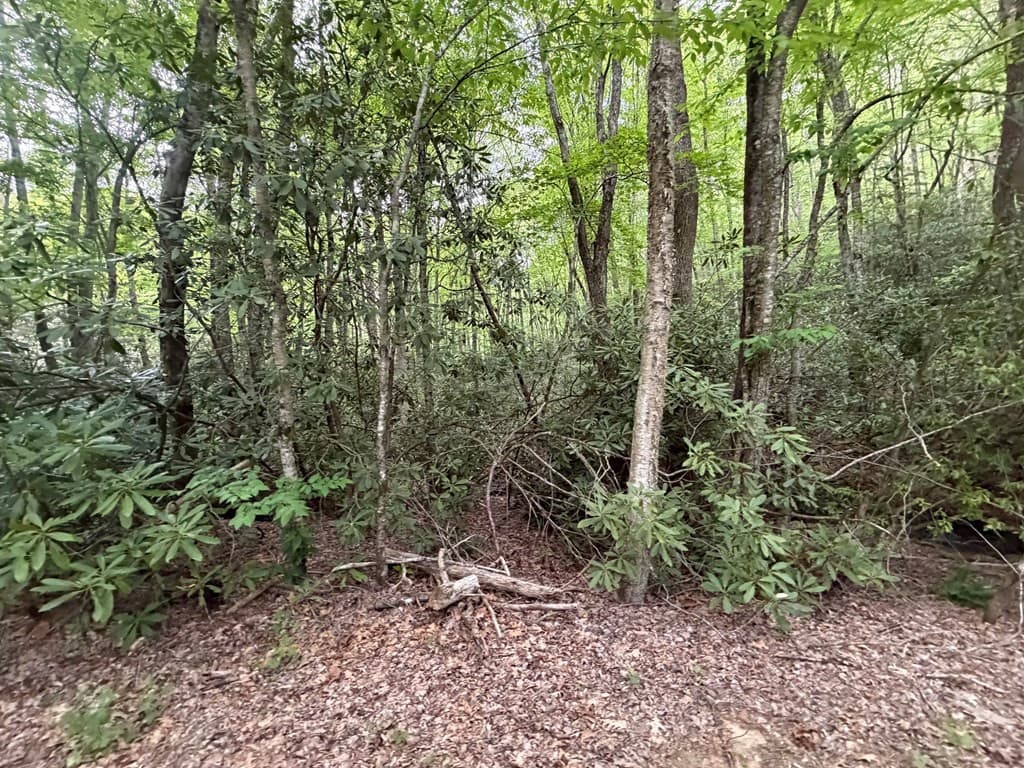 Residential Lot at Lots 9&17 9&17 Warrior Way, Andrews, NC 28901, photo 9 of 10