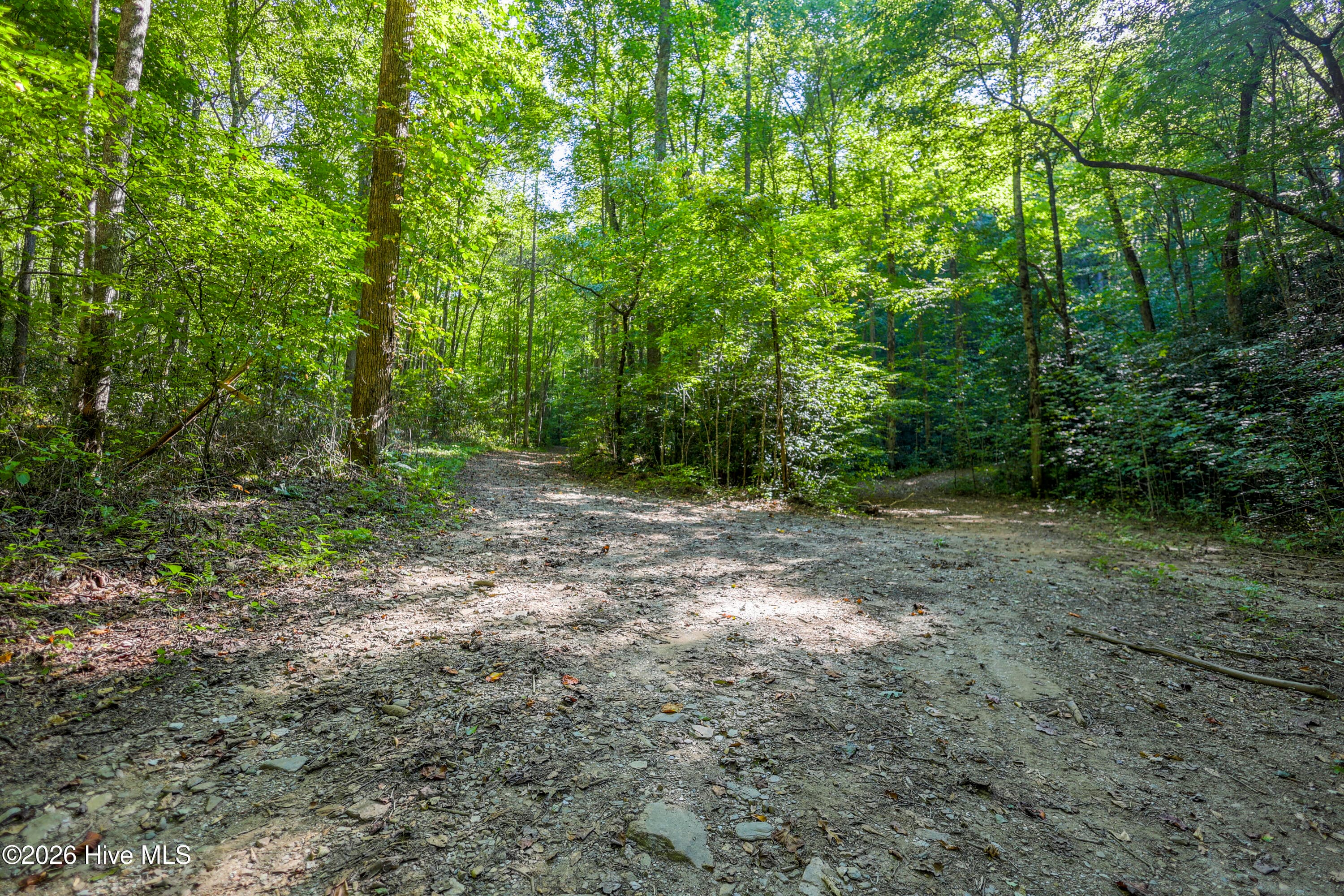 Wooded at 90 Ac Tree House Road, Andrews, NC 28901, photo 6 of 19