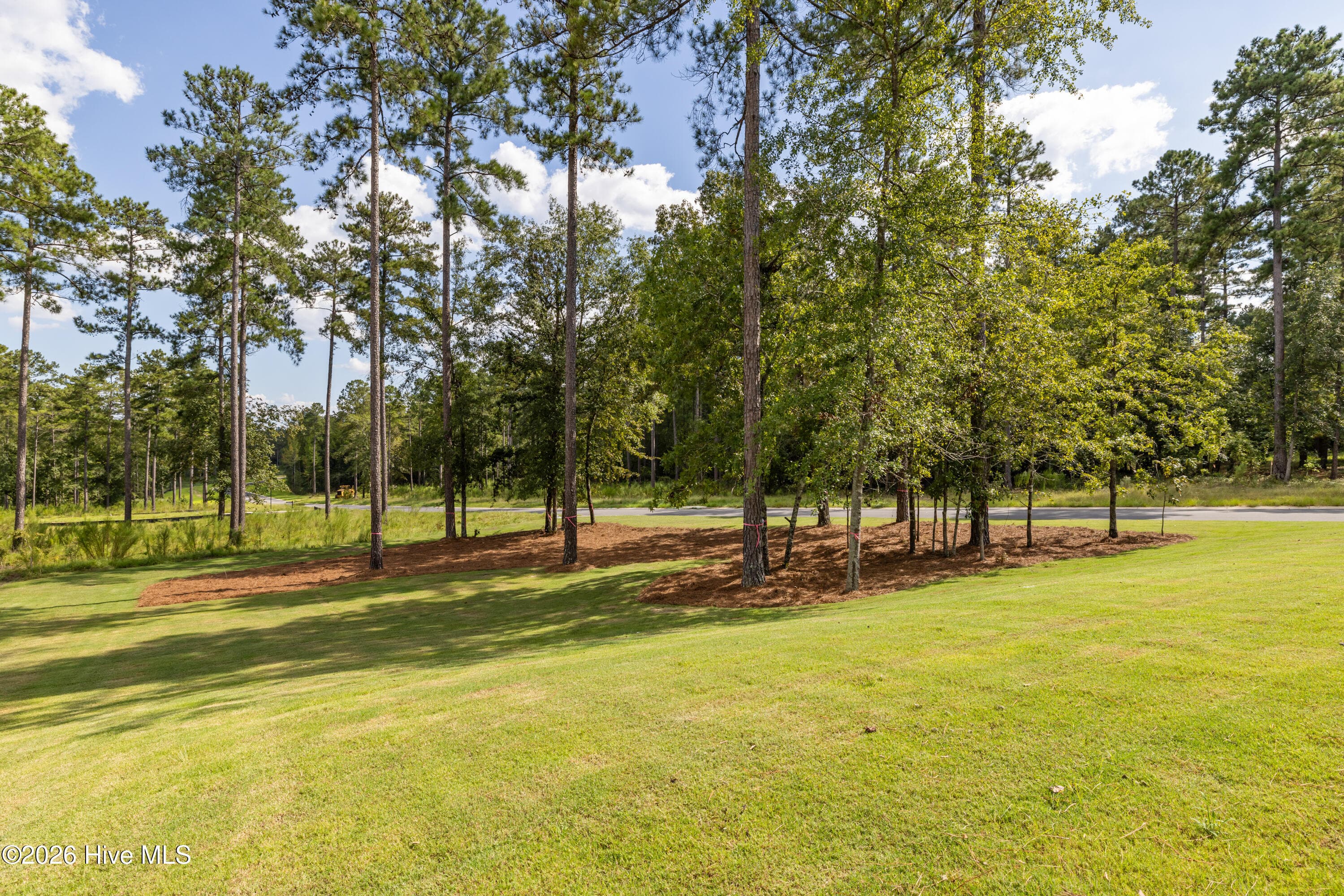 Beautifully-Landscaped - 10382 Helmsdale Drive, Aiken, SC 29803