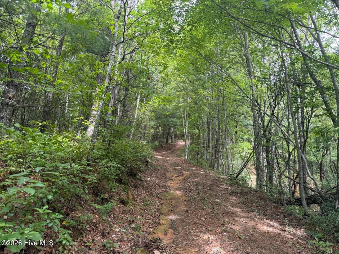 Undeveloped at 760 Cliff Top Trail, Andrews, NC 28901, photo 3 of 14