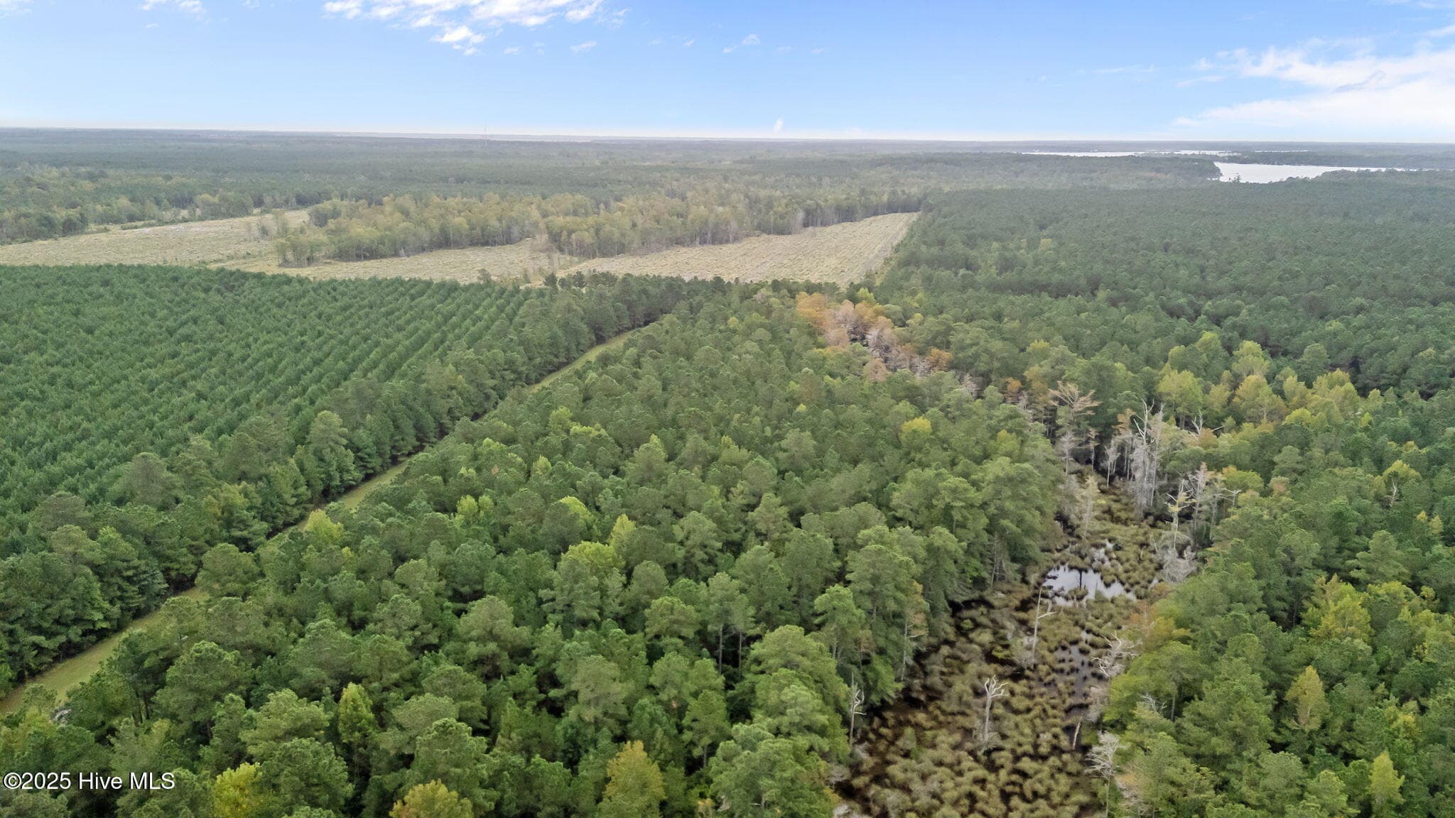 Residential Lot at 207 Garbacon Drive, Beaufort, NC 28516, photo 13 of 17