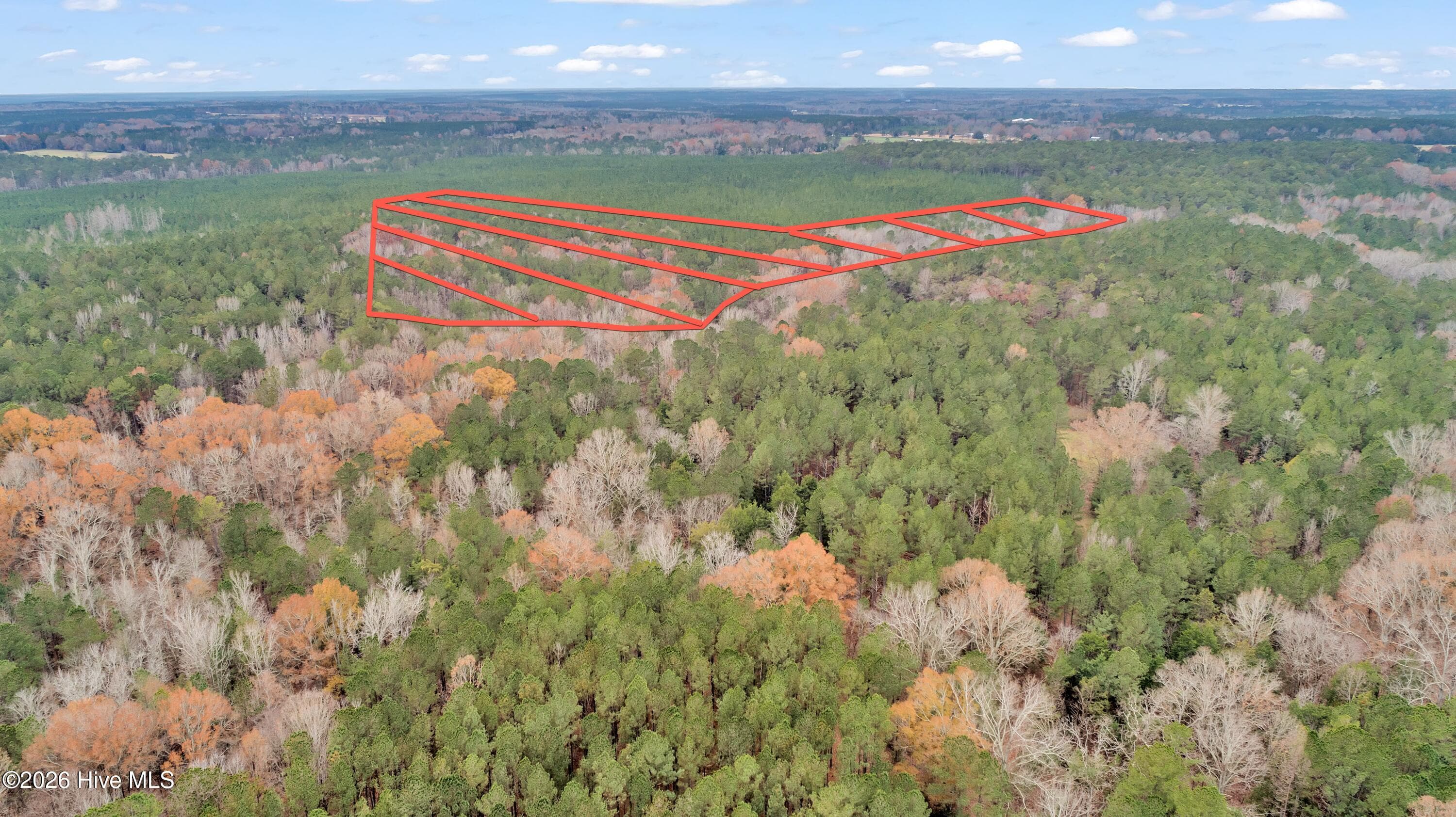 Agriculture at Lot 4 Saggus Road, Washington, GA 30673, photo 21 of 25