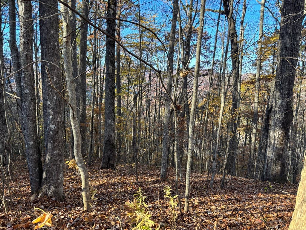Lot#39 39 Falcon Stone Ridge, Topton, NC 28781
