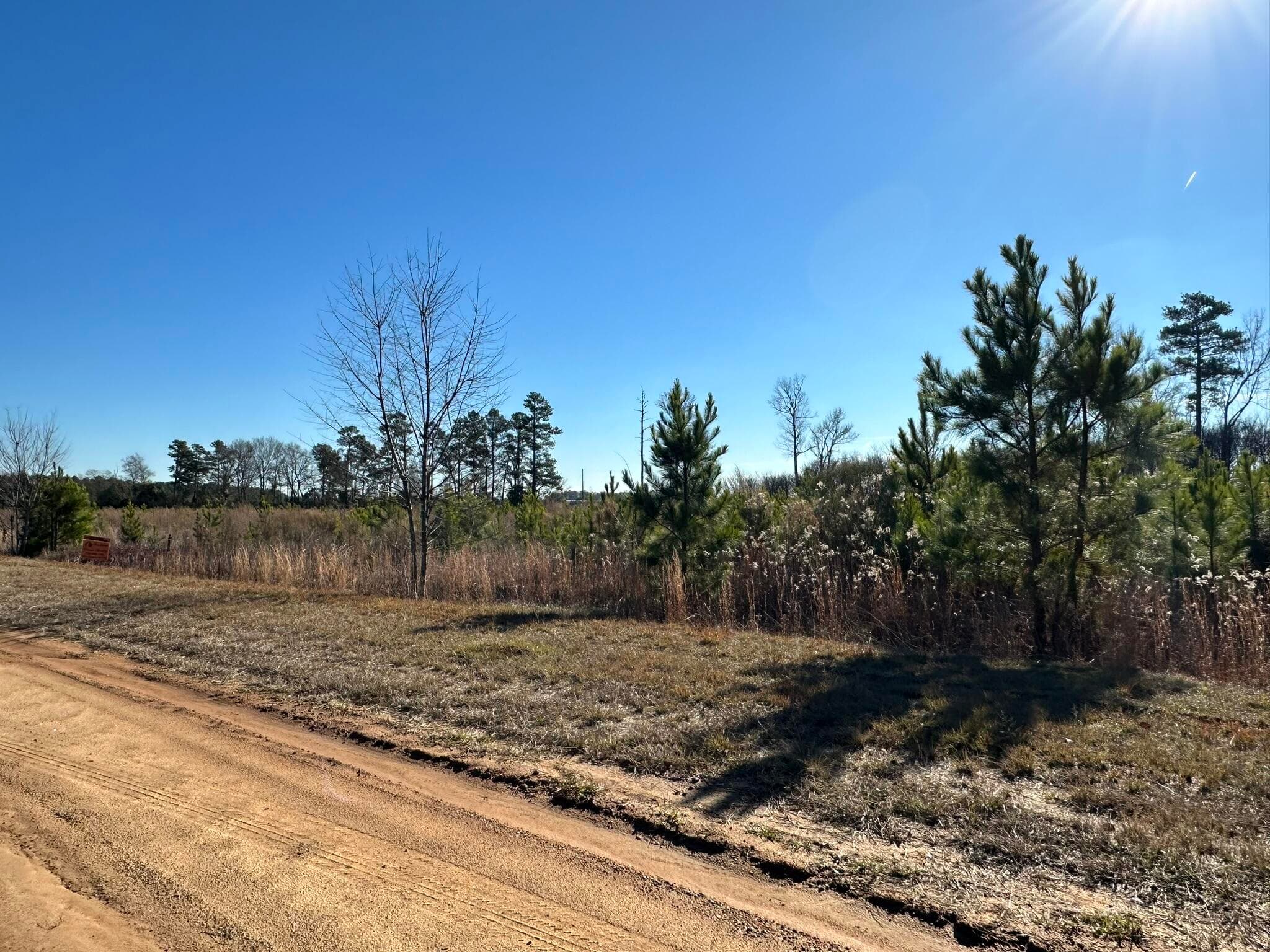 Residential Lot at Lot 6 6 Triangle Road, Louisville, GA 30434, photo 5 of 10