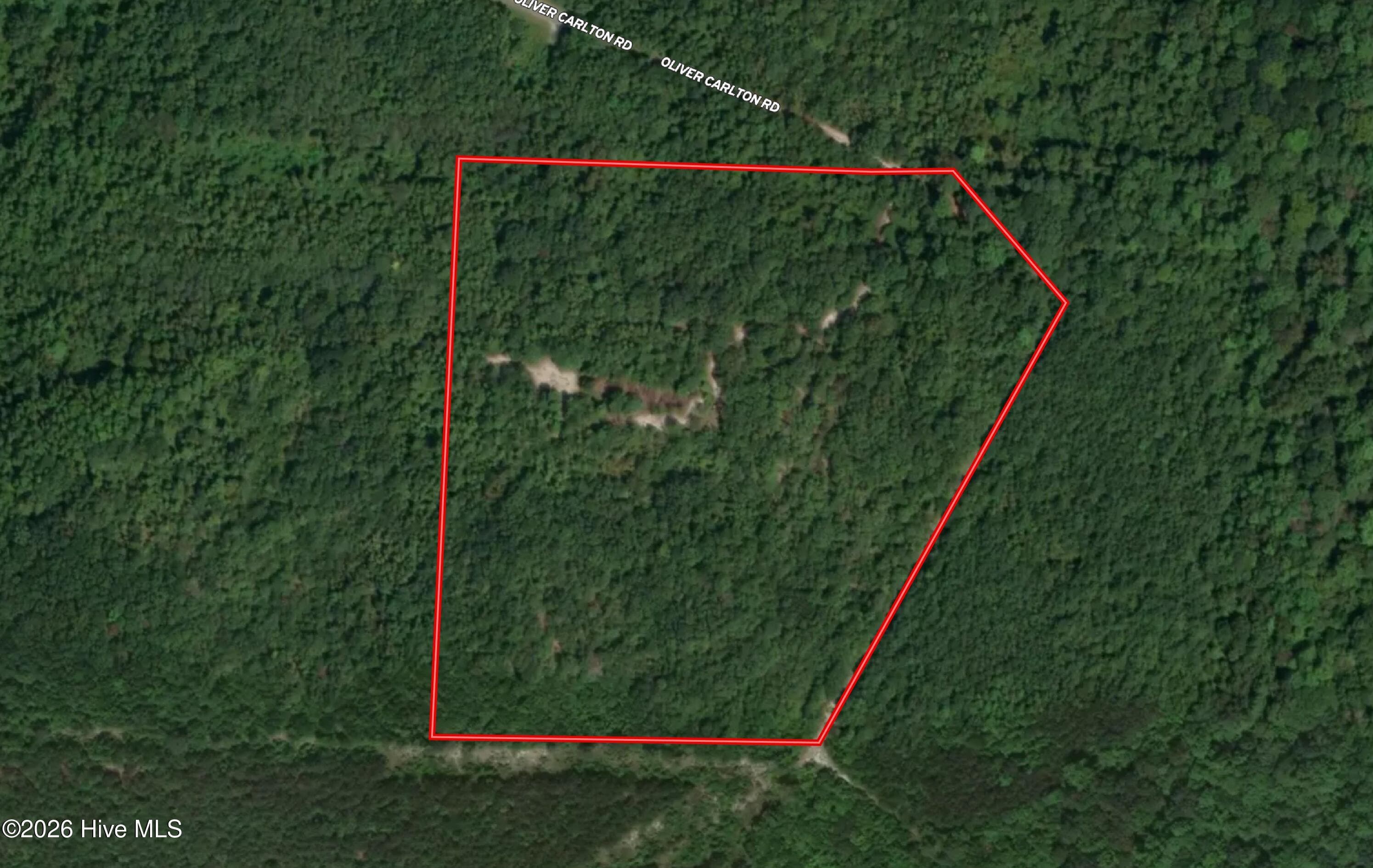 Wooded at Tbd Oliver Carlton Road, Warsaw, NC 28398, photo 3 of 17