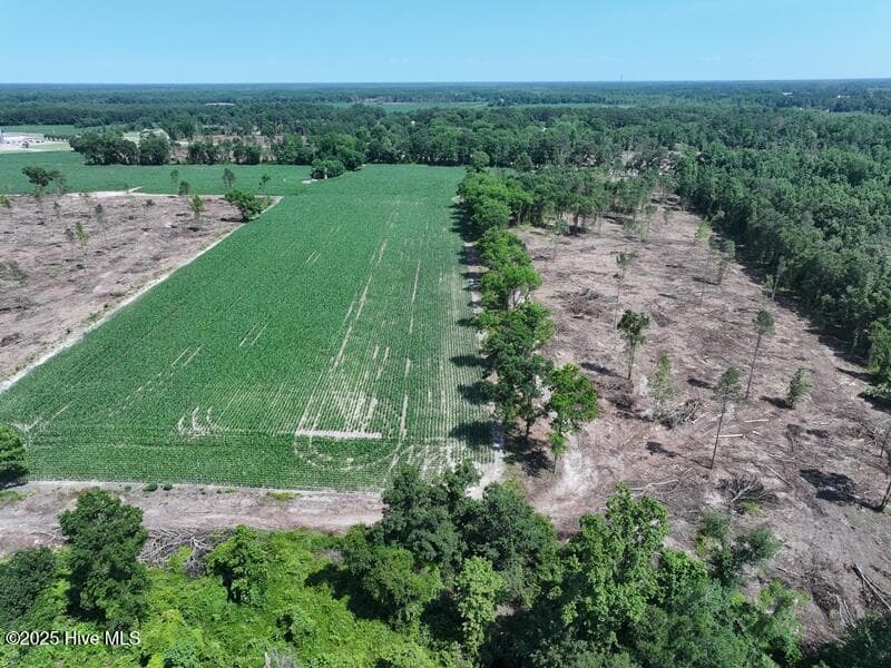 Agriculture at Tbd Highway 71, Red Springs, NC 28377, photo 3 of 17