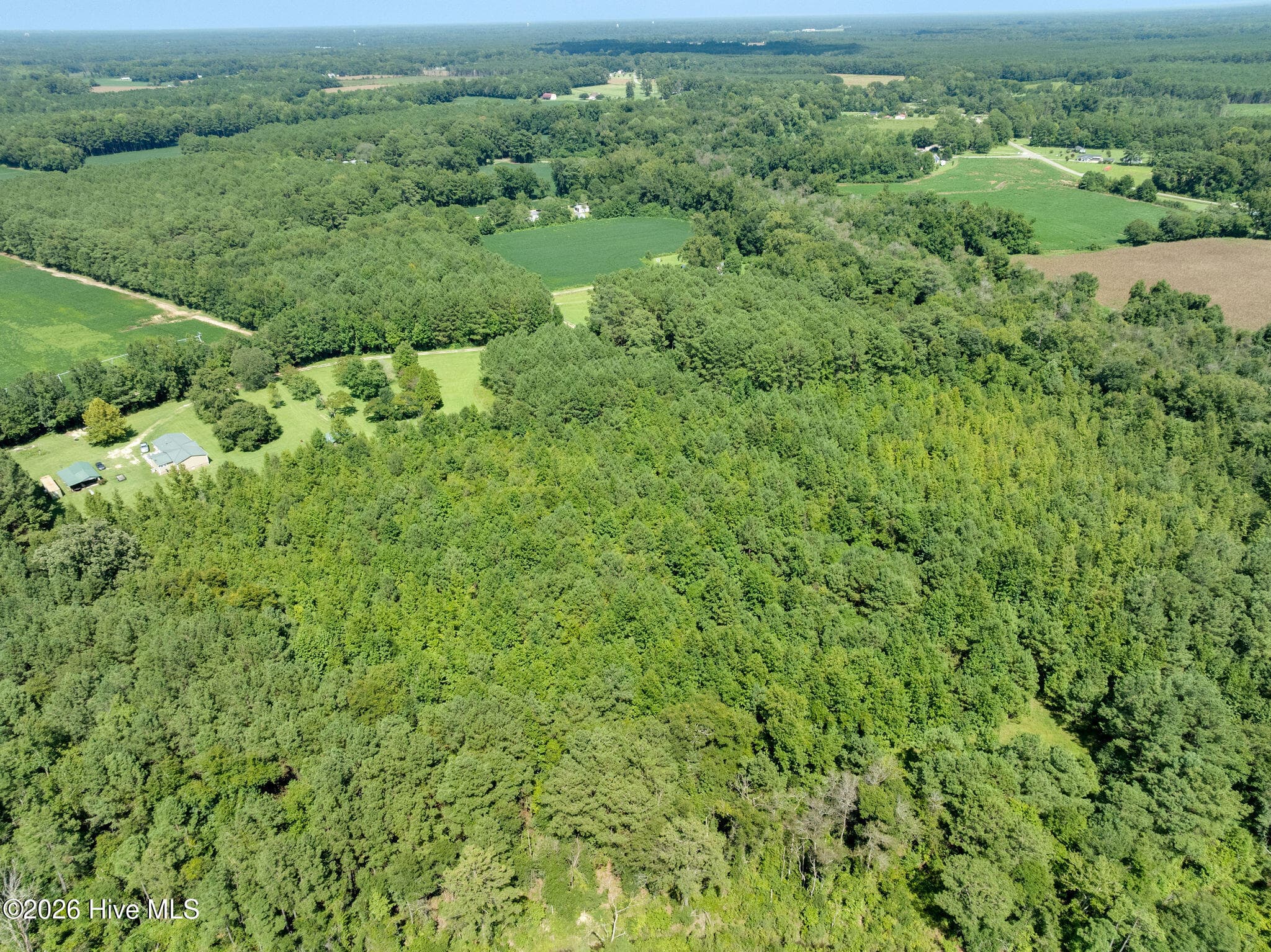 Wooded at 000 S Wisteria Lane, Willard, NC 28478, photo 6 of 10