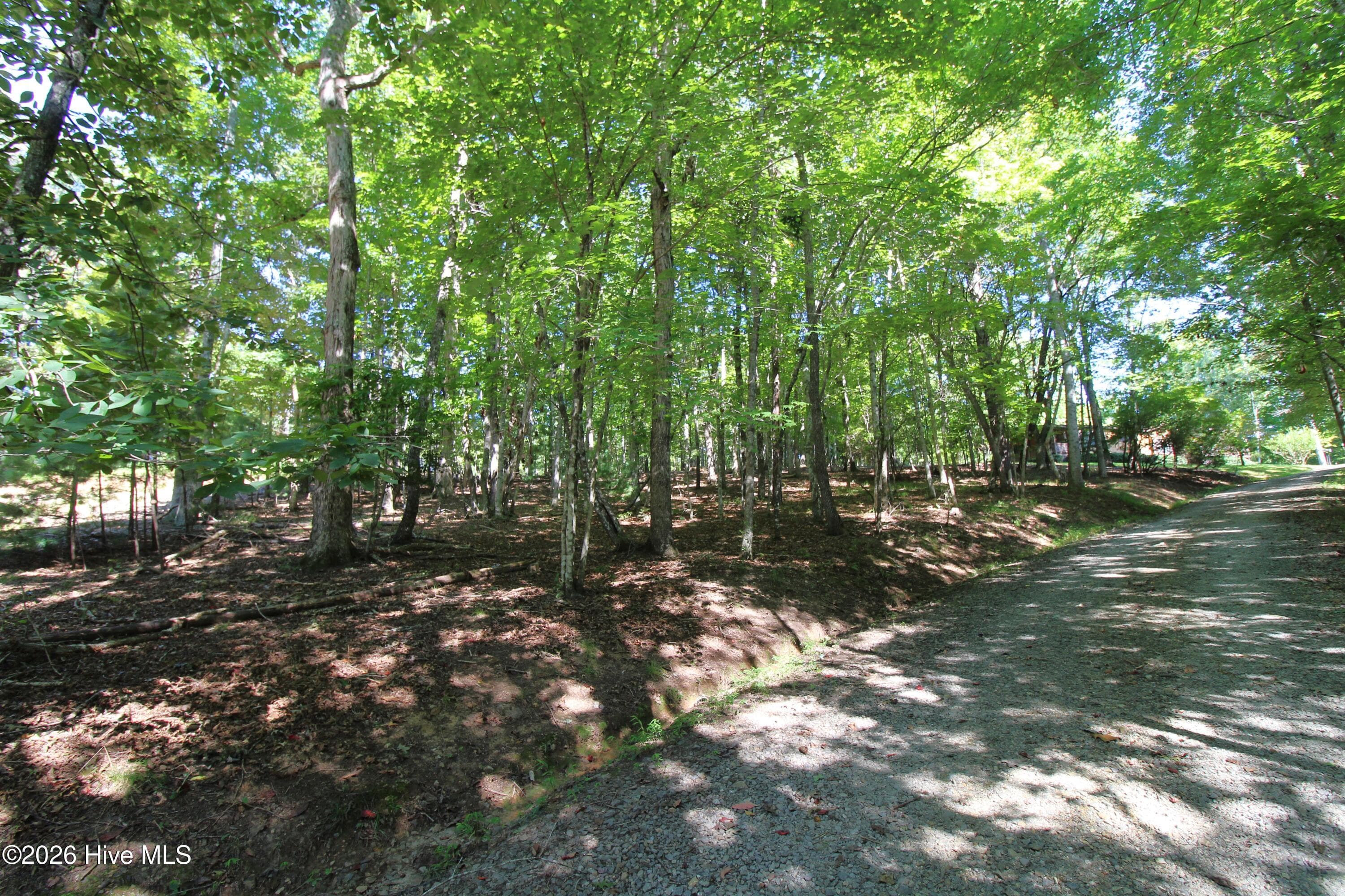 Wooded Lot - 46 Arthur Ridge, Brasstown, NC 28902
