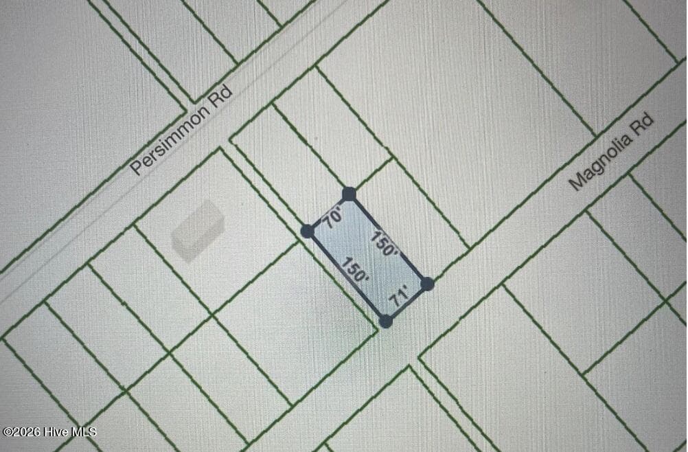 Residential Lot at 322 & 323 Magnolia Road, Boiling Spring Lakes, NC 28461, photo 2 of 3