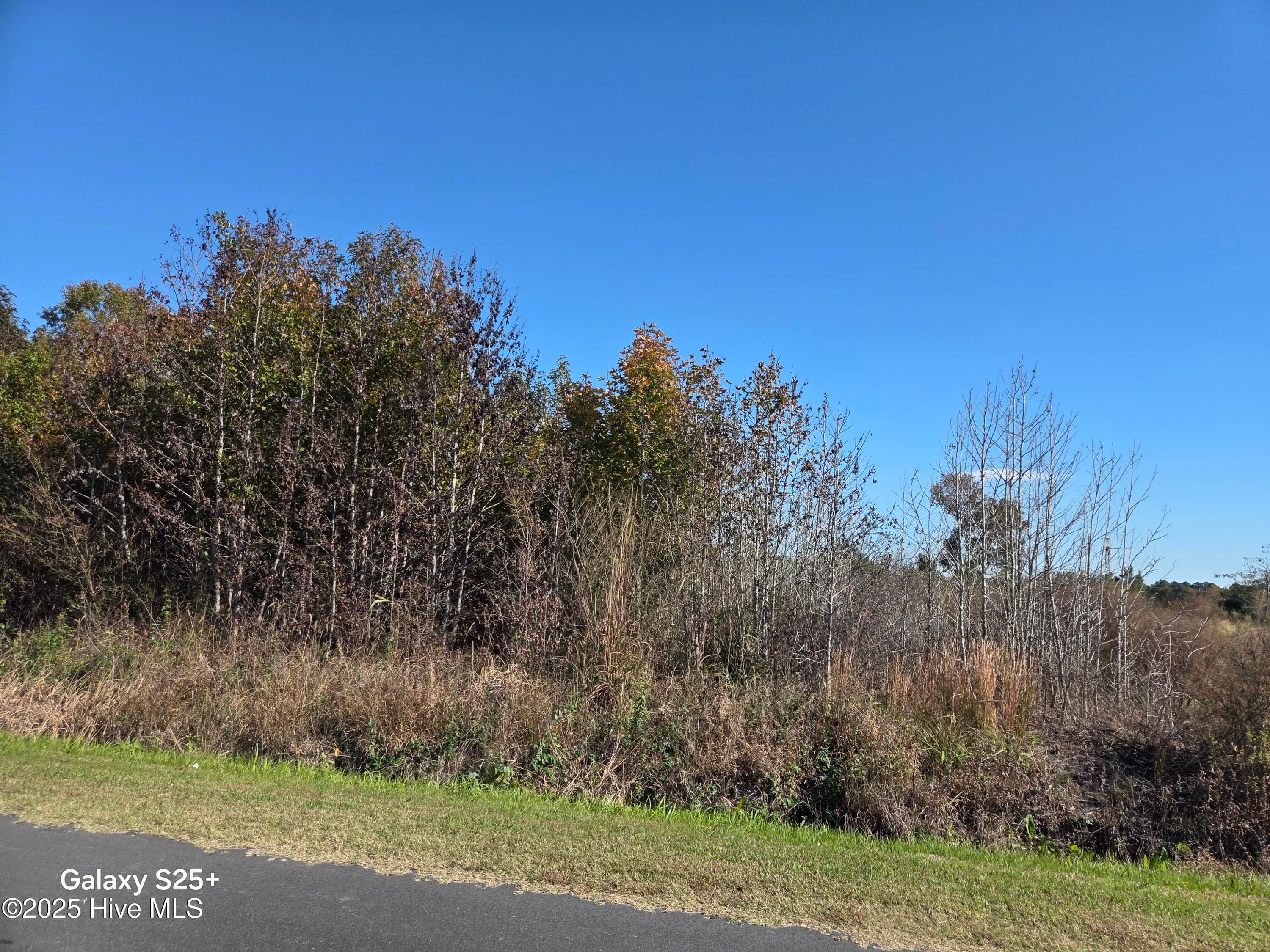 Residential Lot at 204 2 Whitemon Lane, Edenton, NC 27932, photo 14 of 16