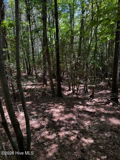 Undeveloped at Lot 1 Dan Road, Robbins, NC 27325, photo 17 of 22