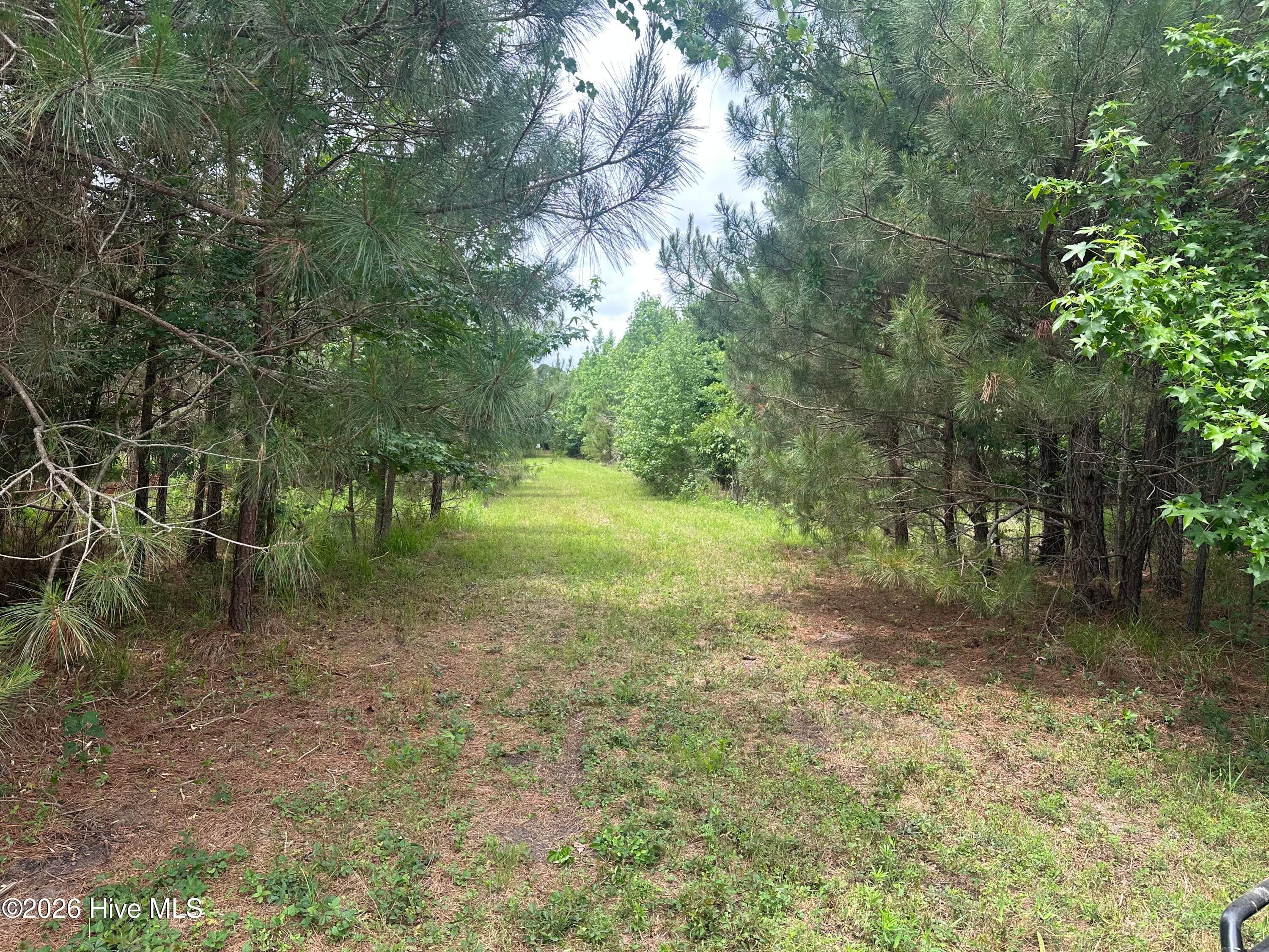 Undeveloped at 0 Colice Hall Lane, Ahoskie, NC 27910, photo 5 of 20