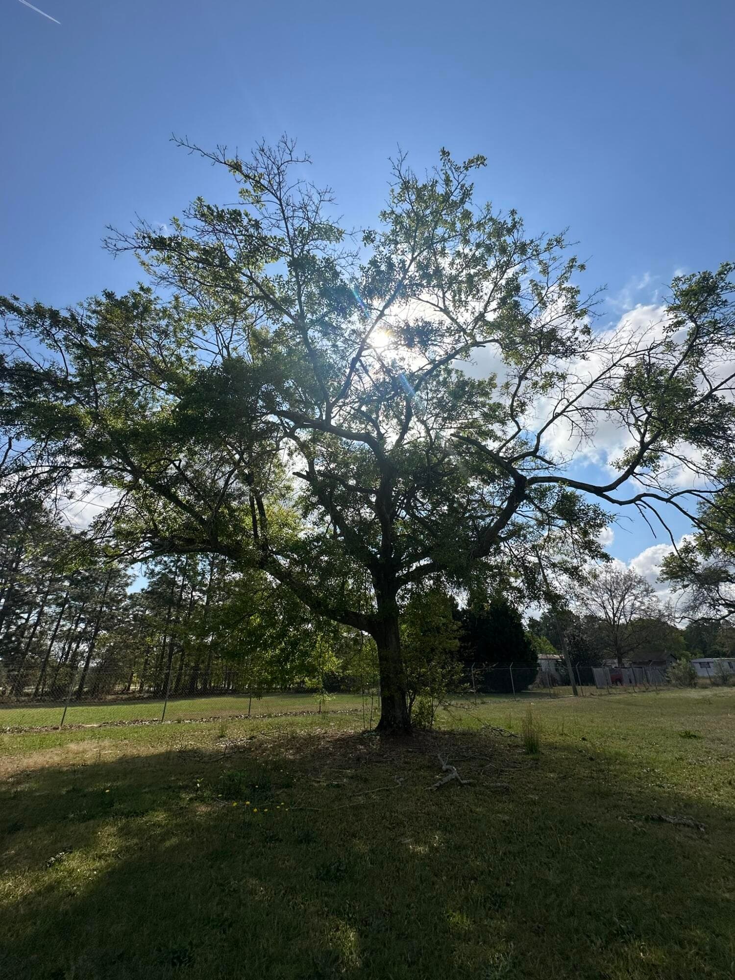 2432-A Tobacco Road, Hephzibah, GA 30815