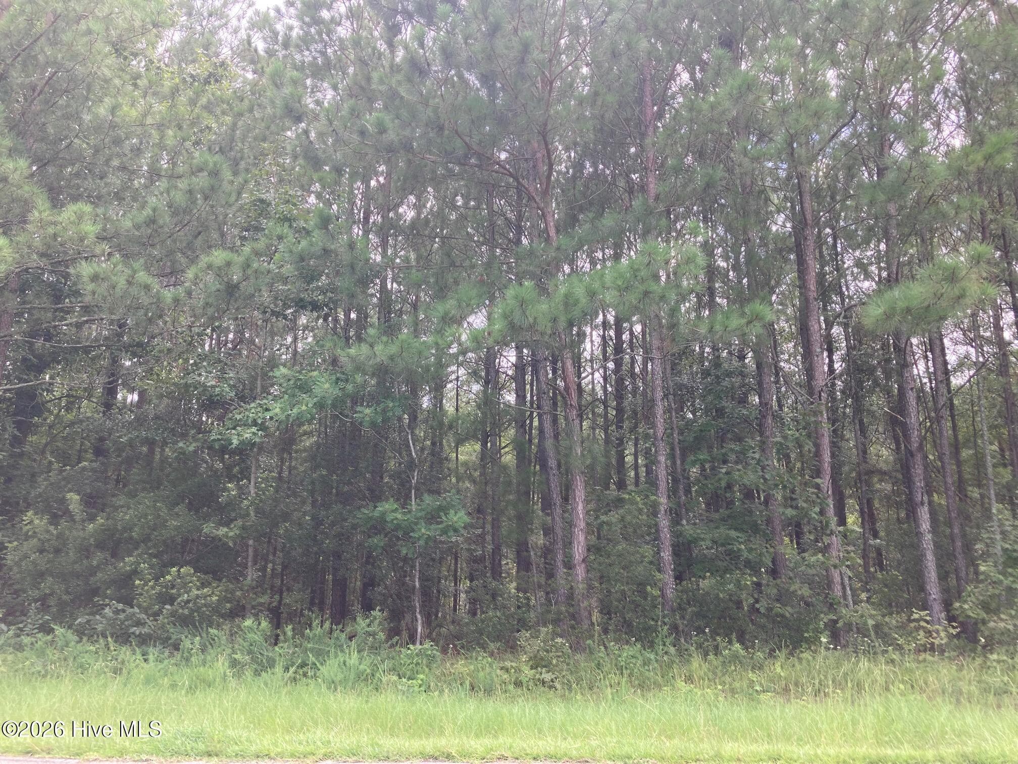 Residential Lot at Lot # 33 33 33 Pine Crest Road, Bath, NC 27808, photo 7 of 7