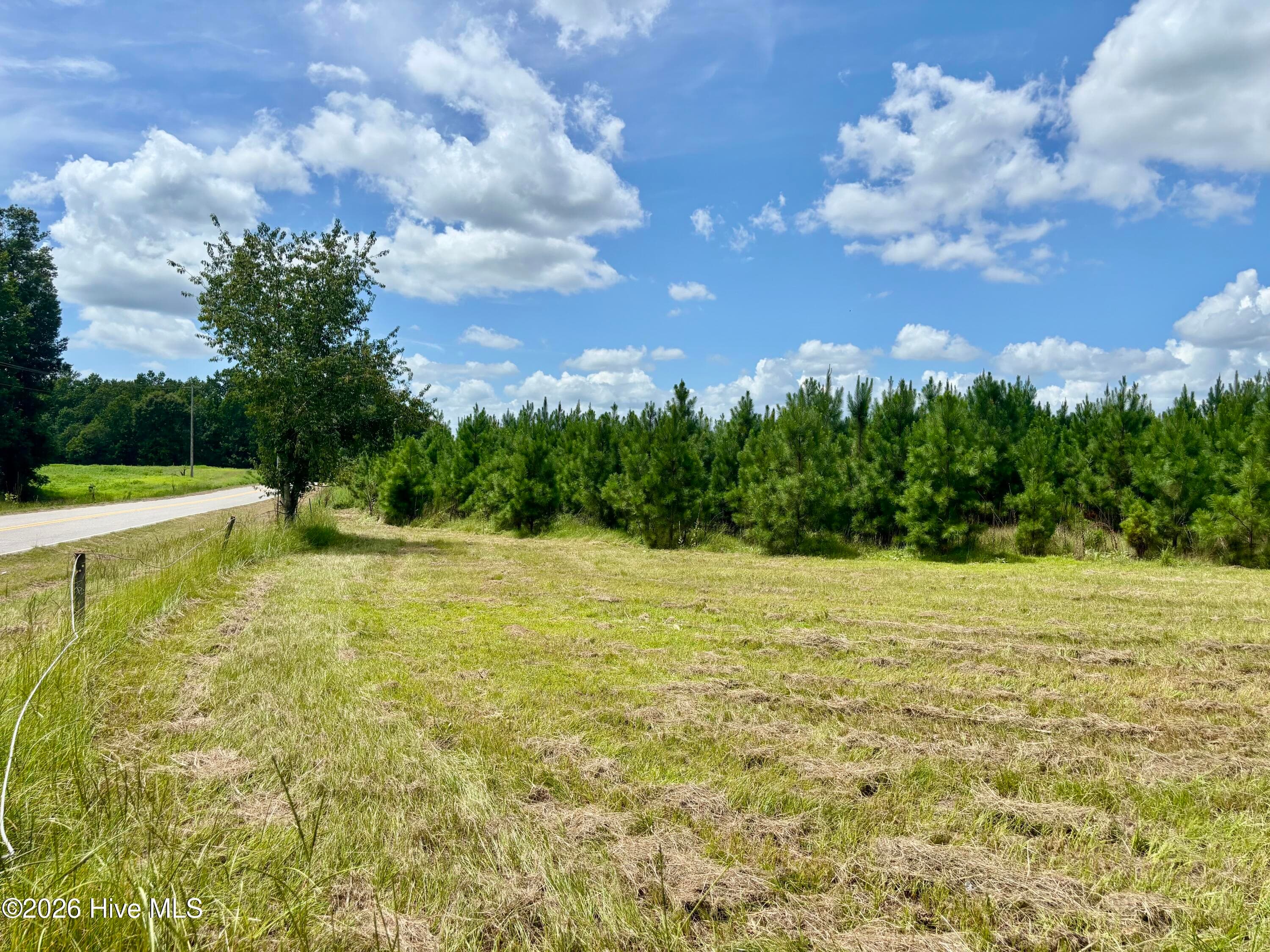 Undeveloped at Tbd Roberdel School Road, Rockingham, NC 28379, photo 32 of 41