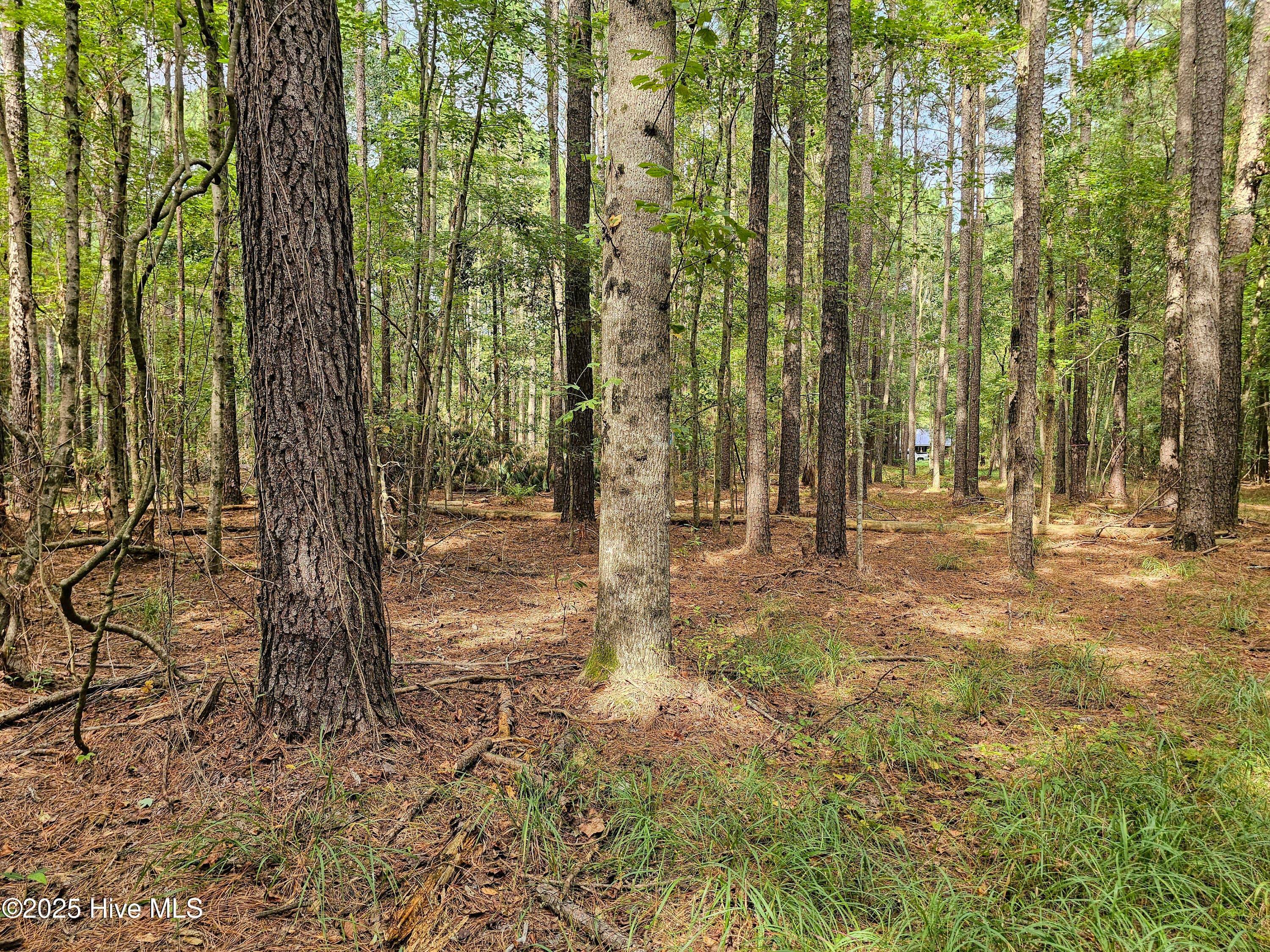 Residential Lot at Lot 77 77 Mcgowan Road, Bath, NC 27808, photo 6 of 16
