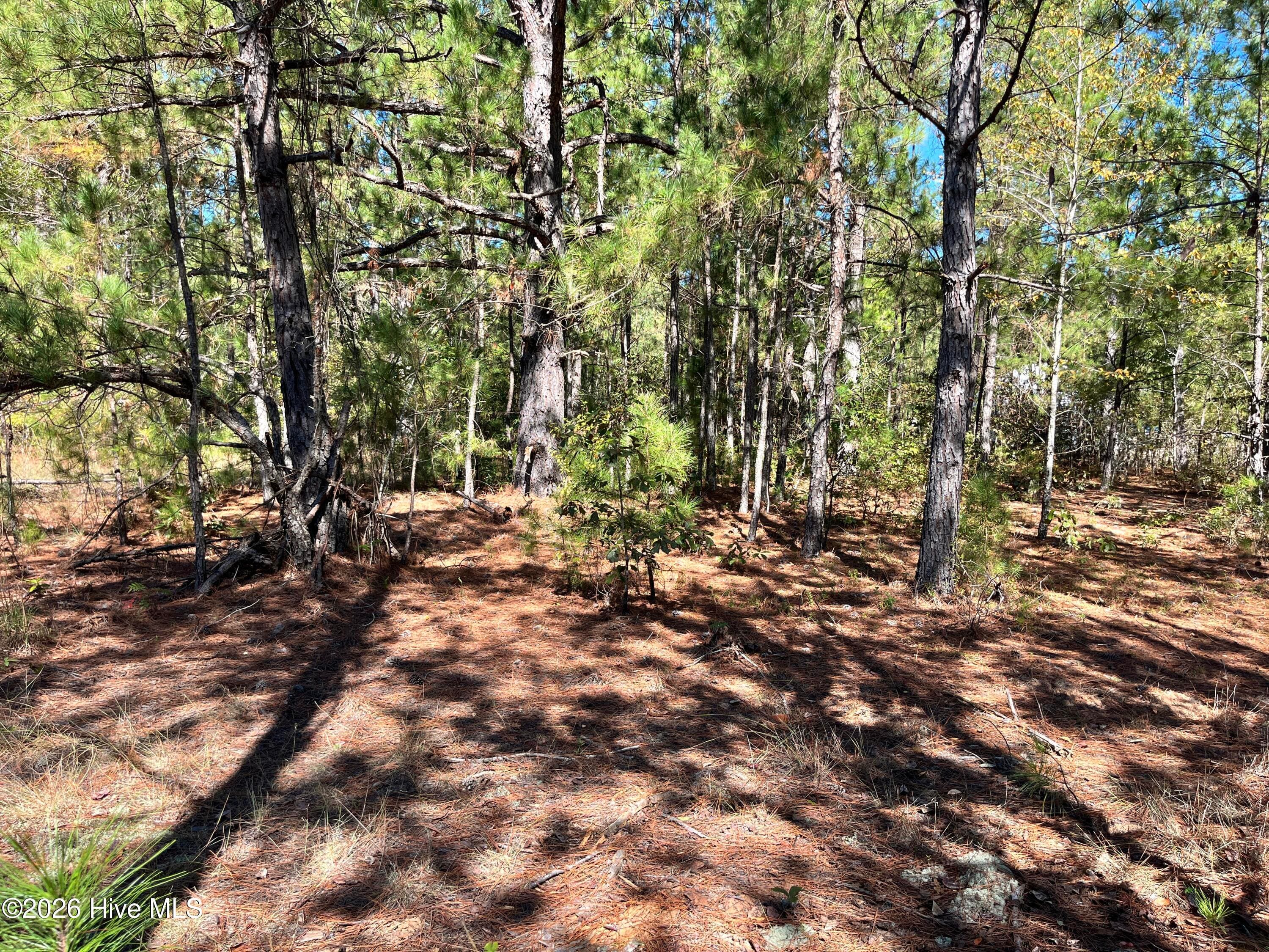 Residential Lot at Lot 9 Jasper Davis Road, Avera, GA 30803, photo 15 of 21