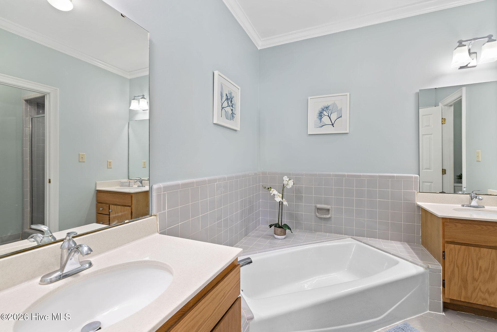 His/her vanities, & soaking tub - 8407 Wycombe Lane, Raleigh, NC 27615