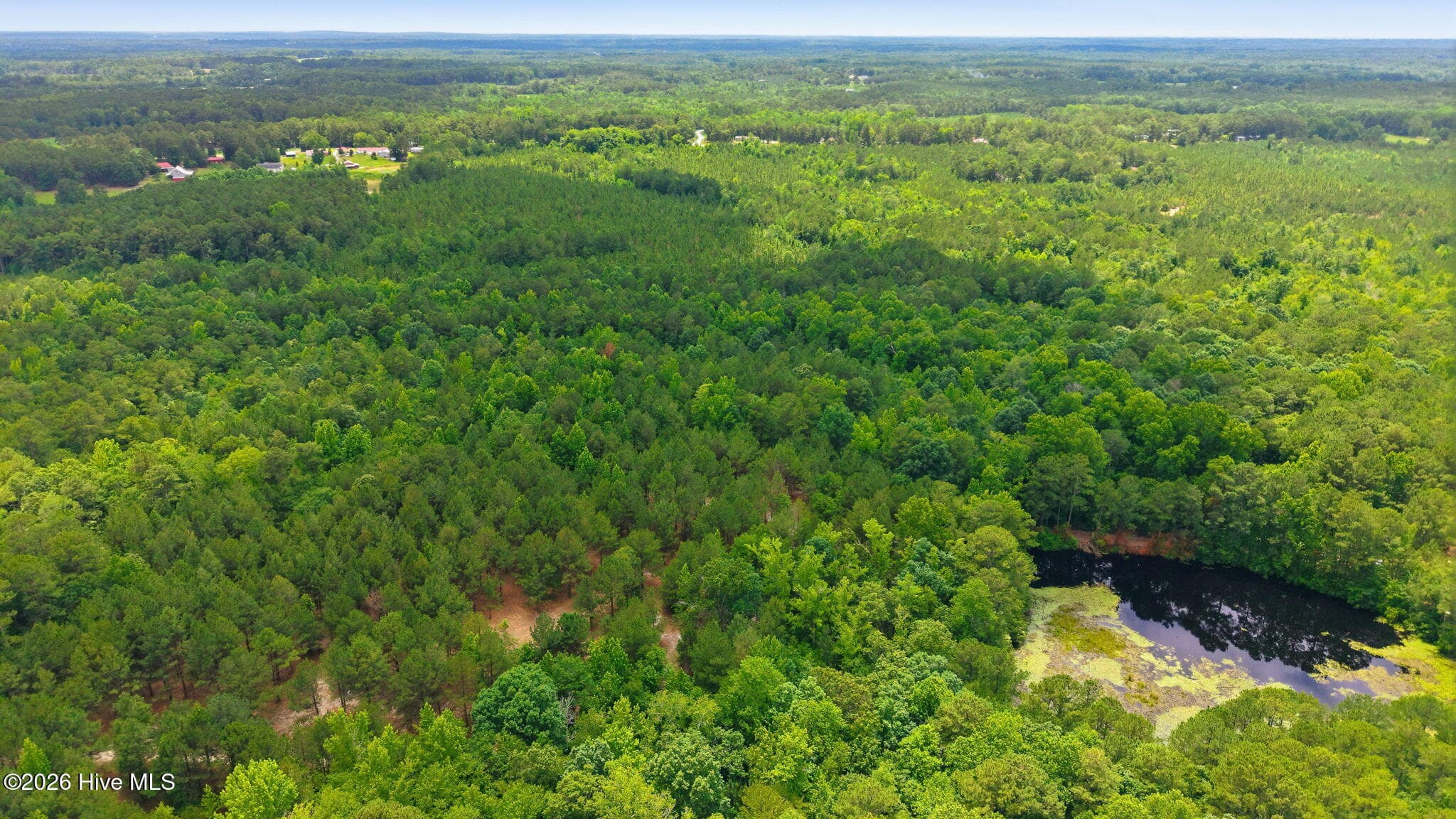 Wooded at 329 Cypress Farm Road, Cameron, NC 28326, photo 3 of 13