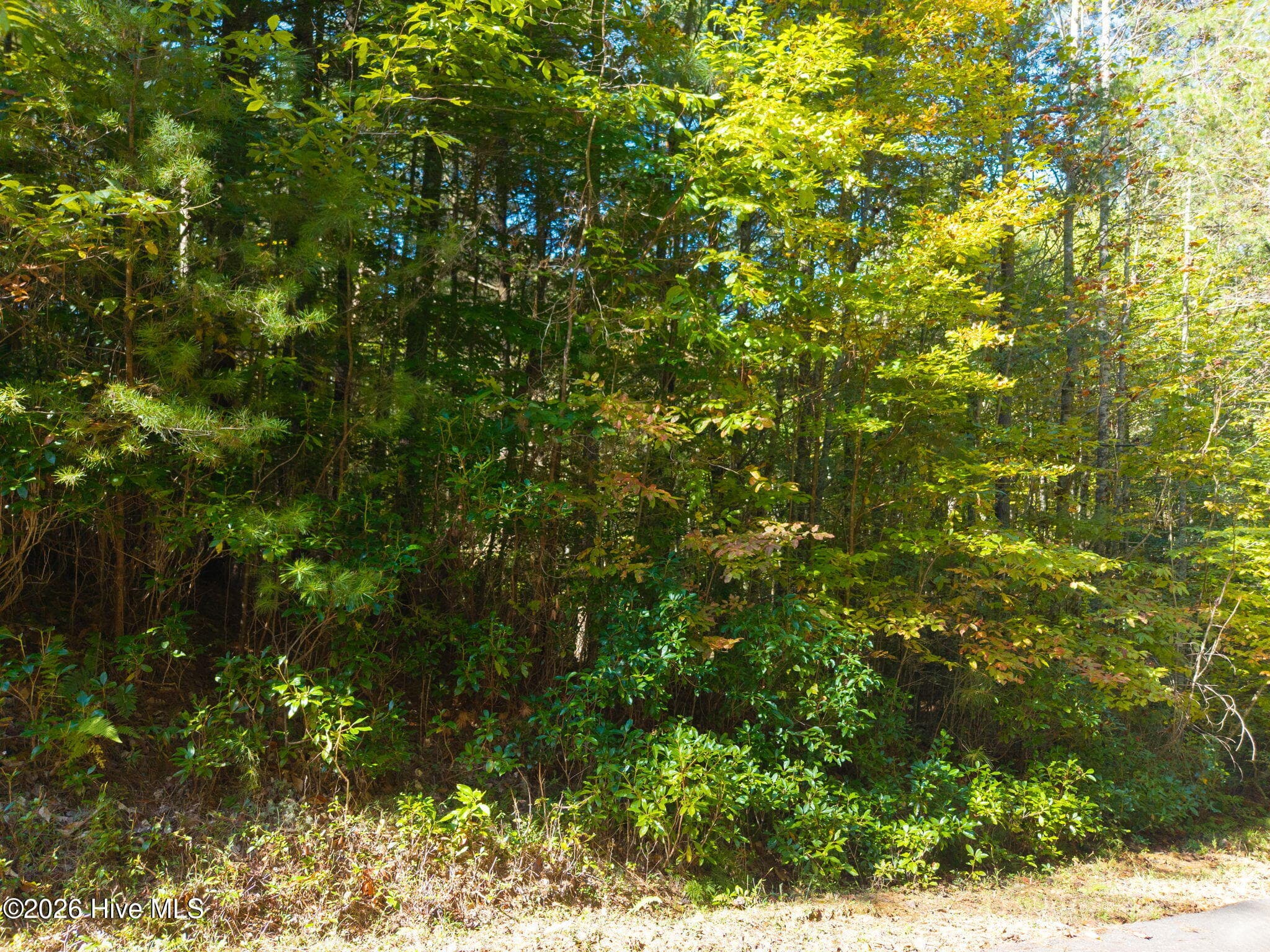 Residential Lot at 71 Nature Trail, Murphy, NC 28906, photo 18 of 19