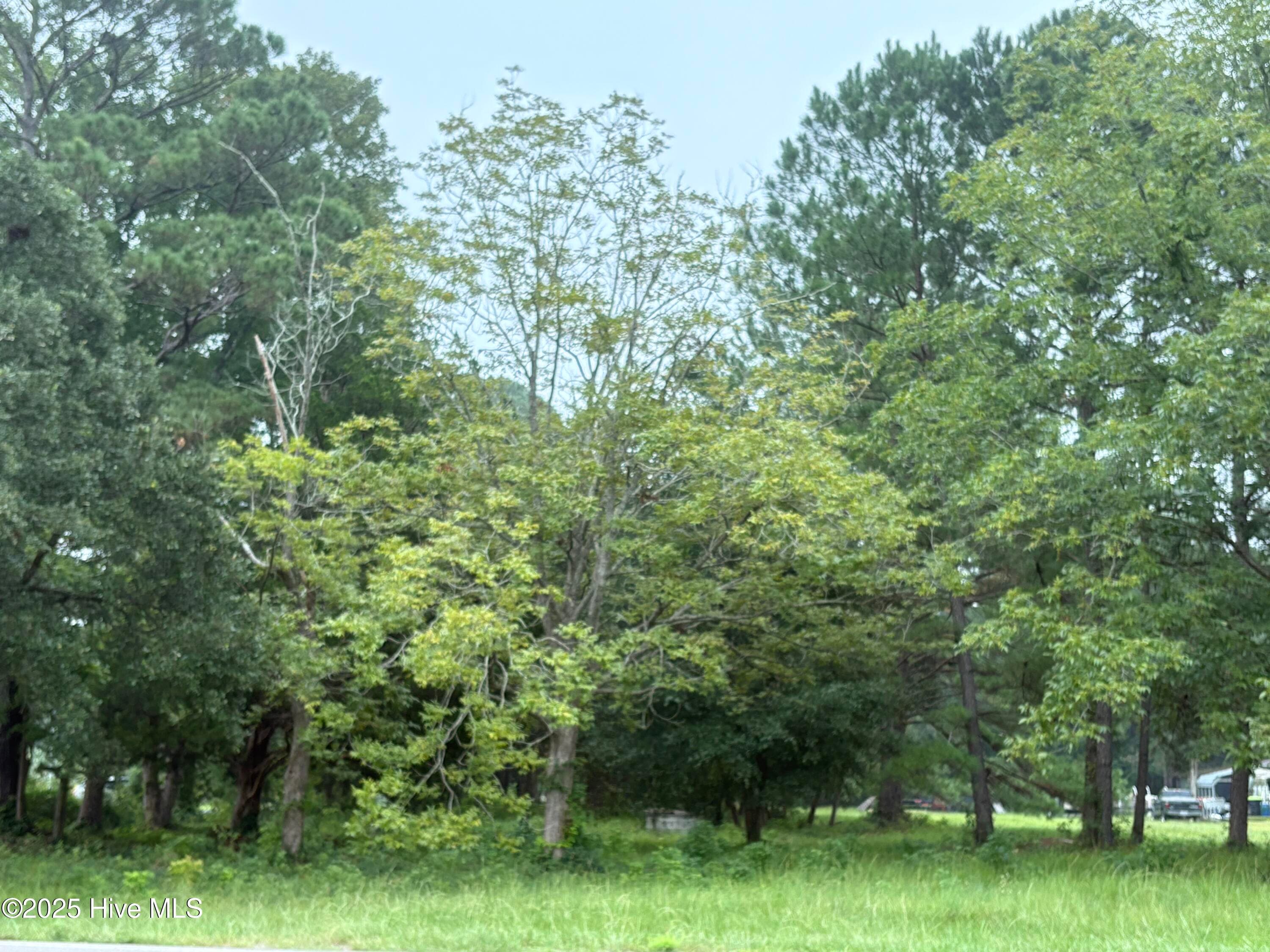 Mixed Use at 917 Bricklanding Road SW, Shallotte, NC 28470, photo 3 of 8