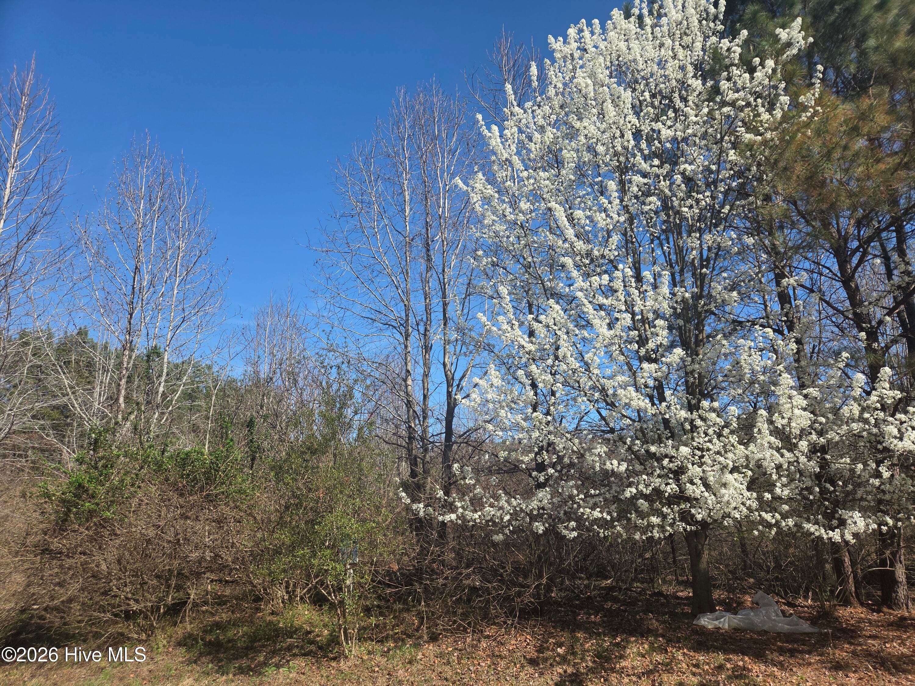 Main View Lot 121 - 232 121 Winfall Circle, Edenton, NC 27932