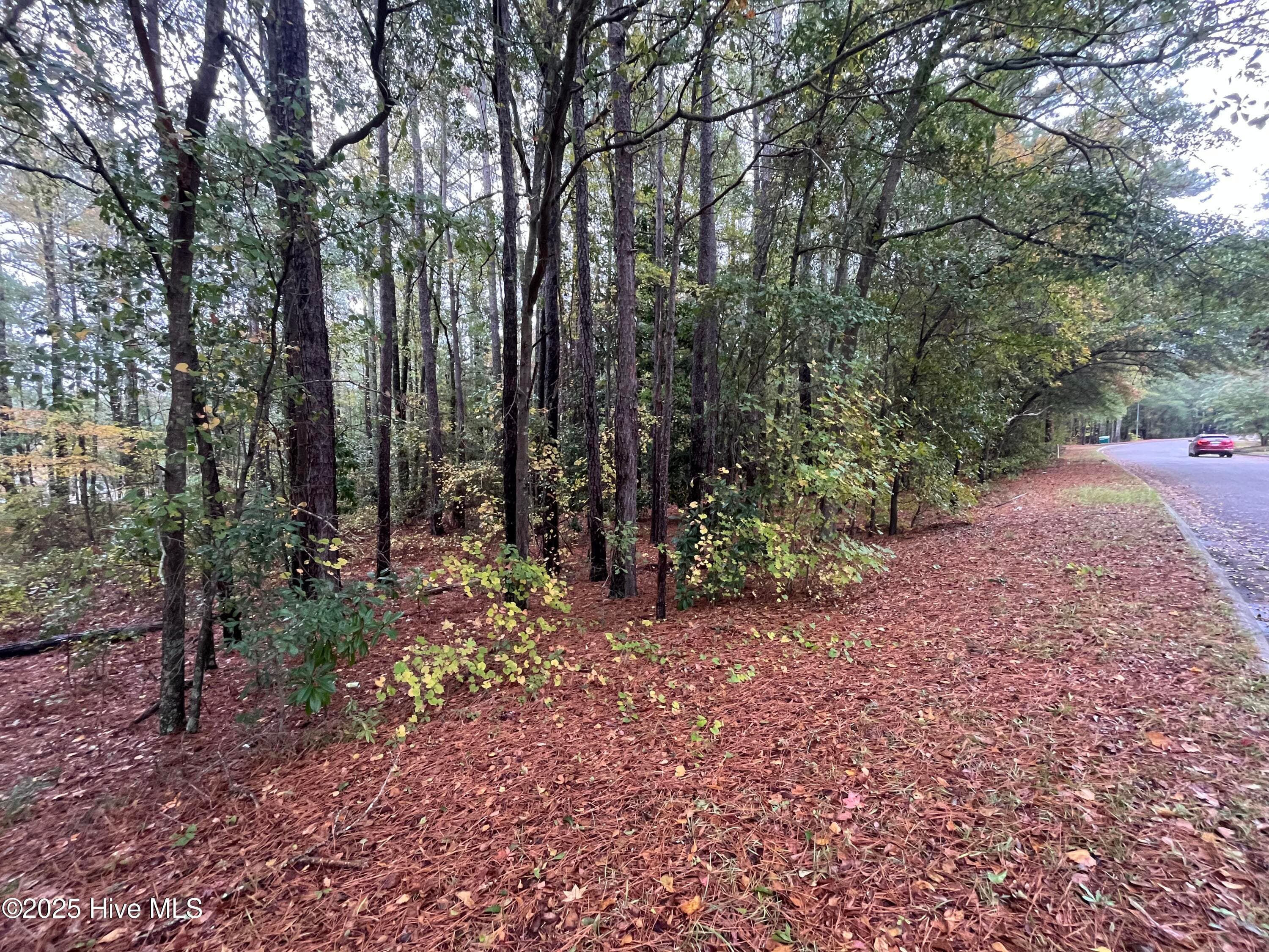 Unimproved Land at 124 Medical Circle, Rockingham, NC 28379, photo 2 of 8
