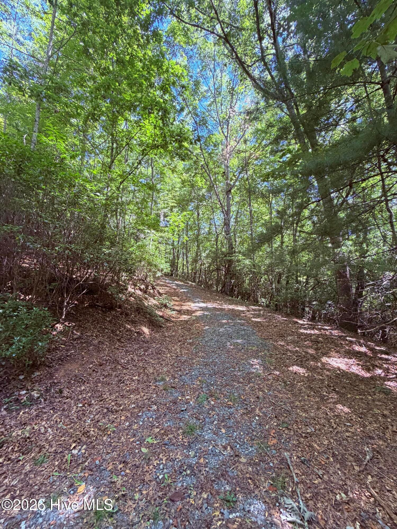 Wooded at Lot 12 Holly Ridge Drive, Topton, NC 28781, photo 4 of 5